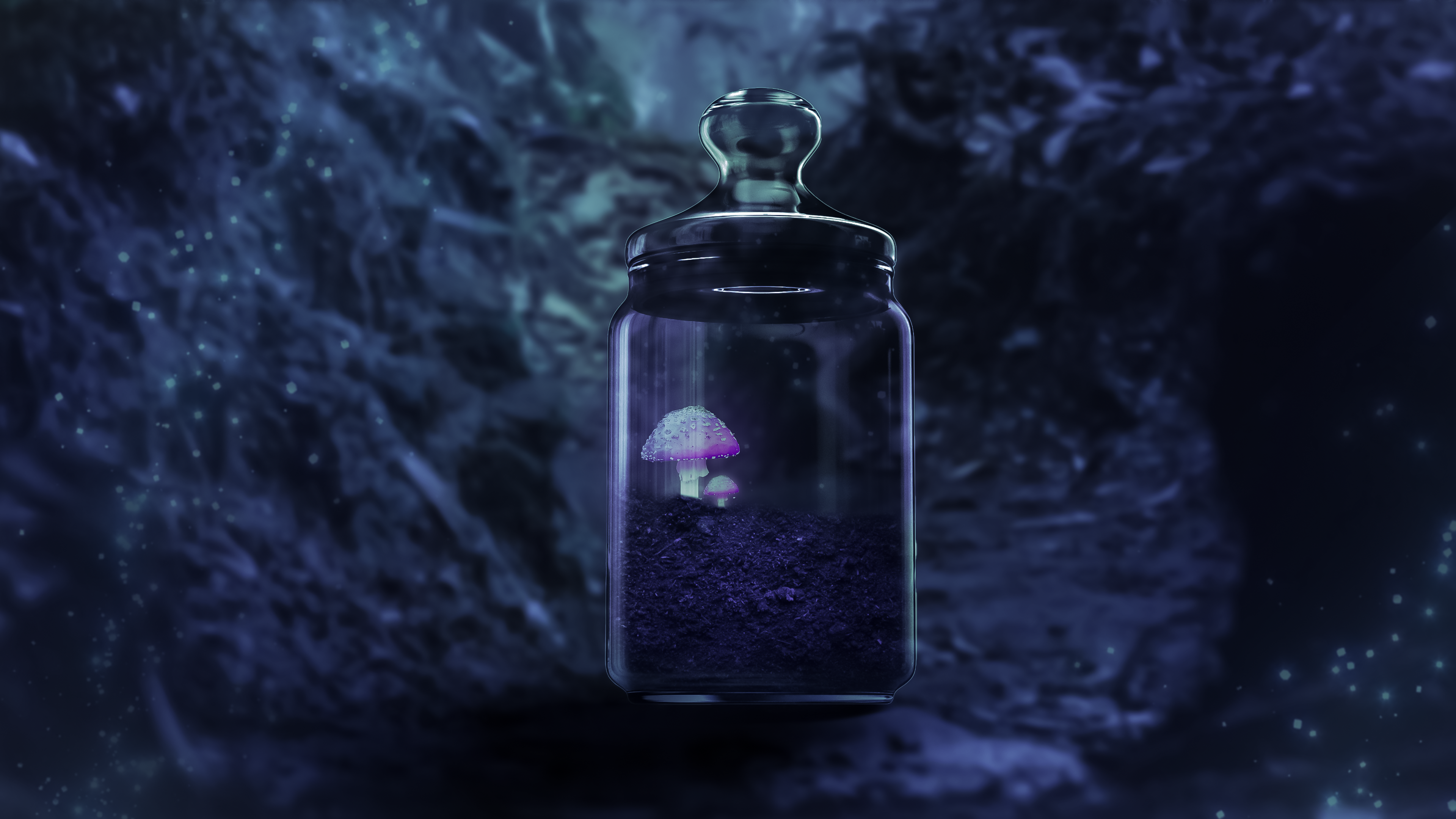 4K, jar, mushroom, nature, jungle, night lanterns, night, forest HD Wallpaper
