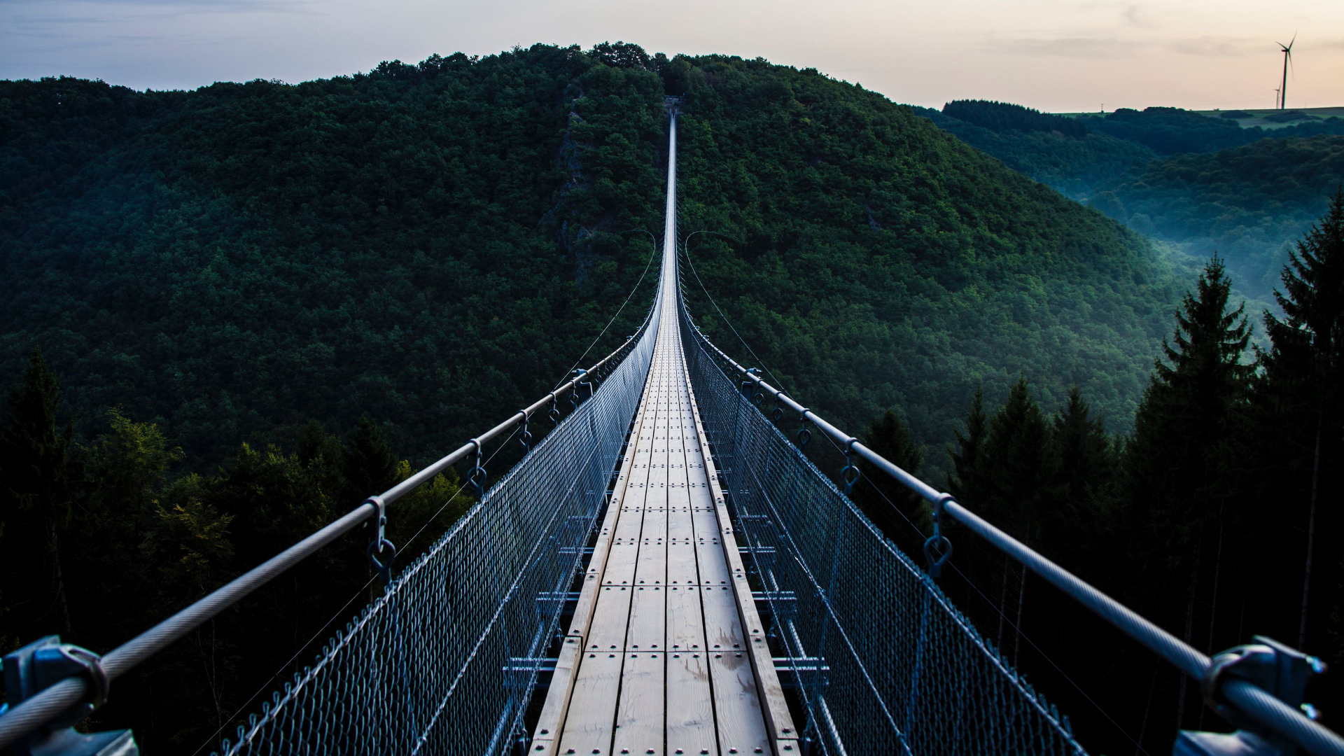 forest, heights, bridge, outdoors HD Wallpaper