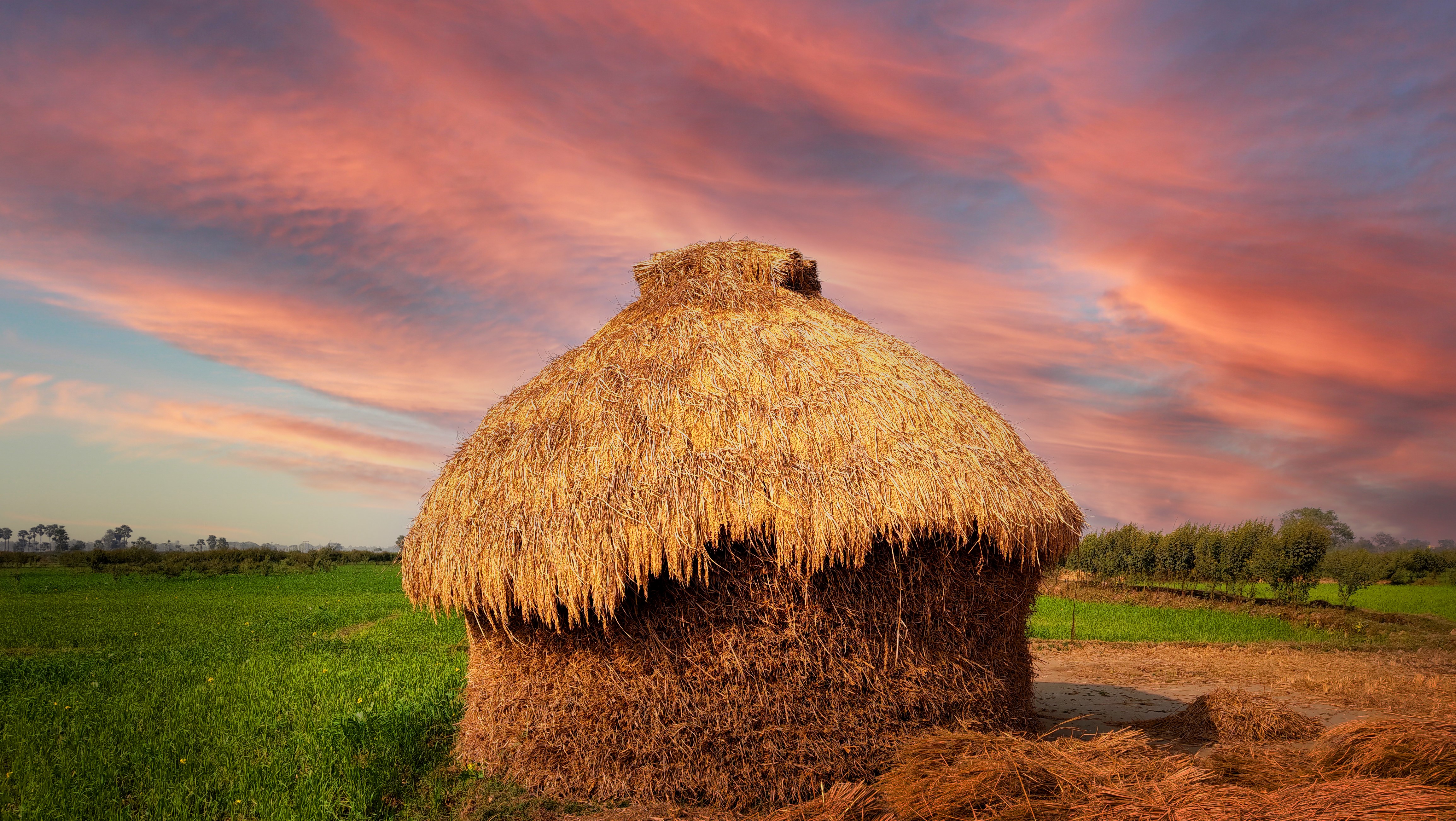 4K, dusk, field, farm, nature HD Wallpaper