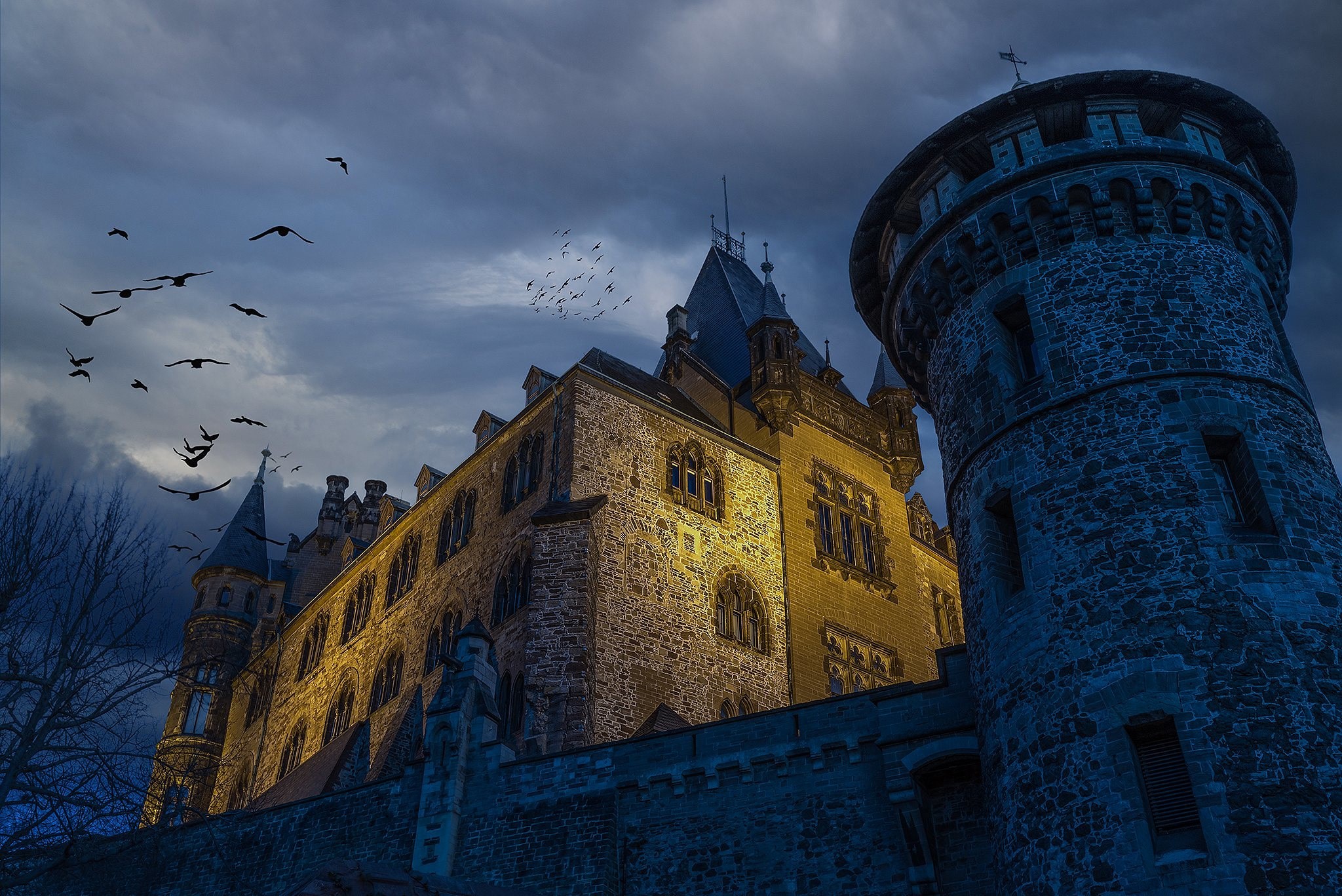 castle, Castle Wernigerode, Germany, Sachsen-Anhalt HD Wallpaper