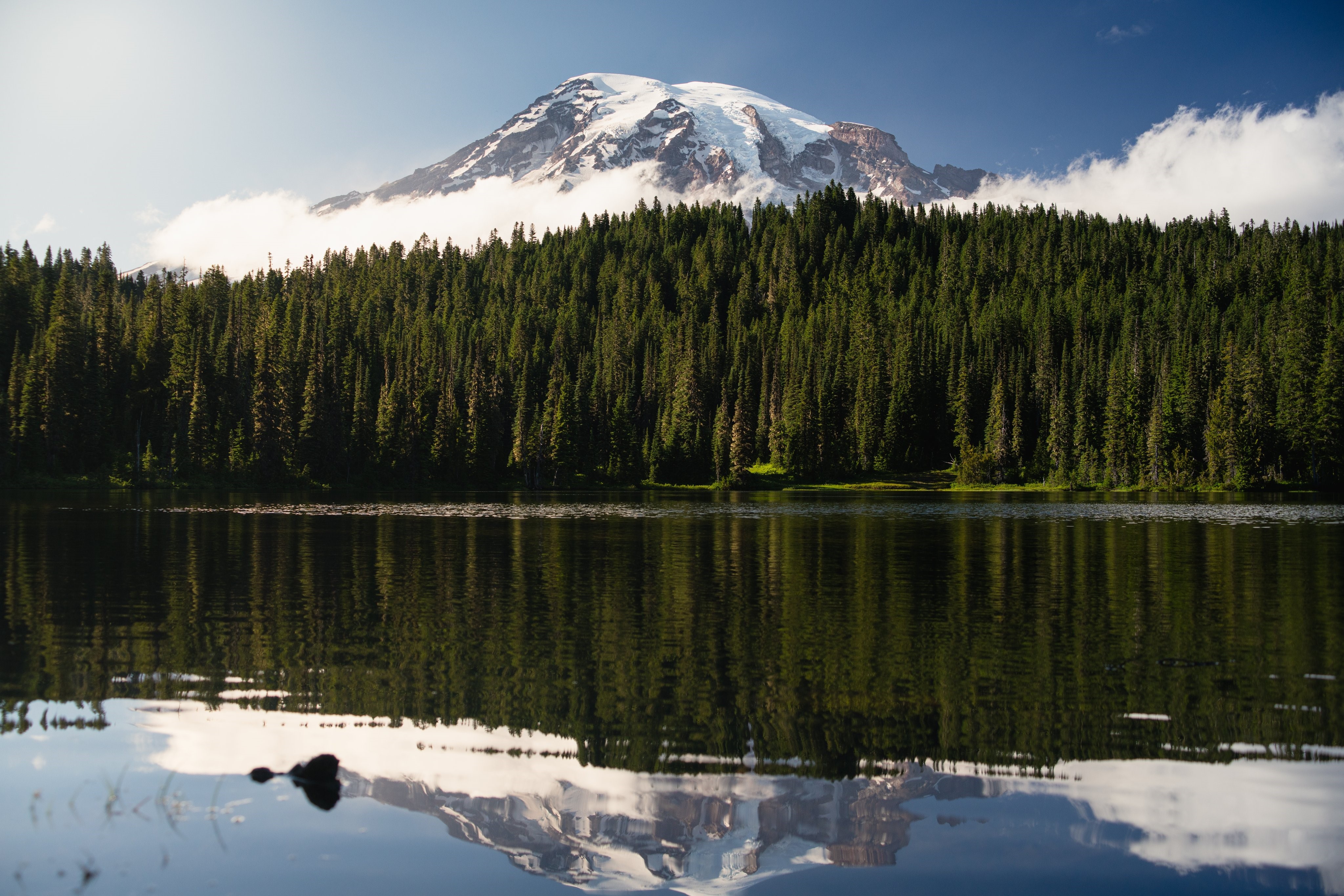4K, nature, pine trees, trees, forest, mountains, landscape, lake, snowy mountain HD Wallpaper