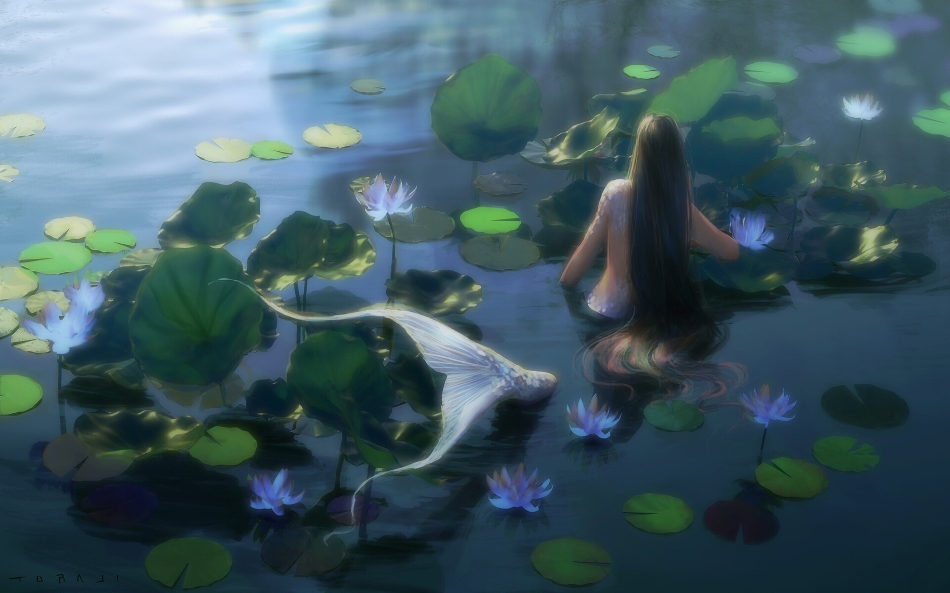 Fantasy Mermaid with Long Hair in a Pond HD Wallpaper