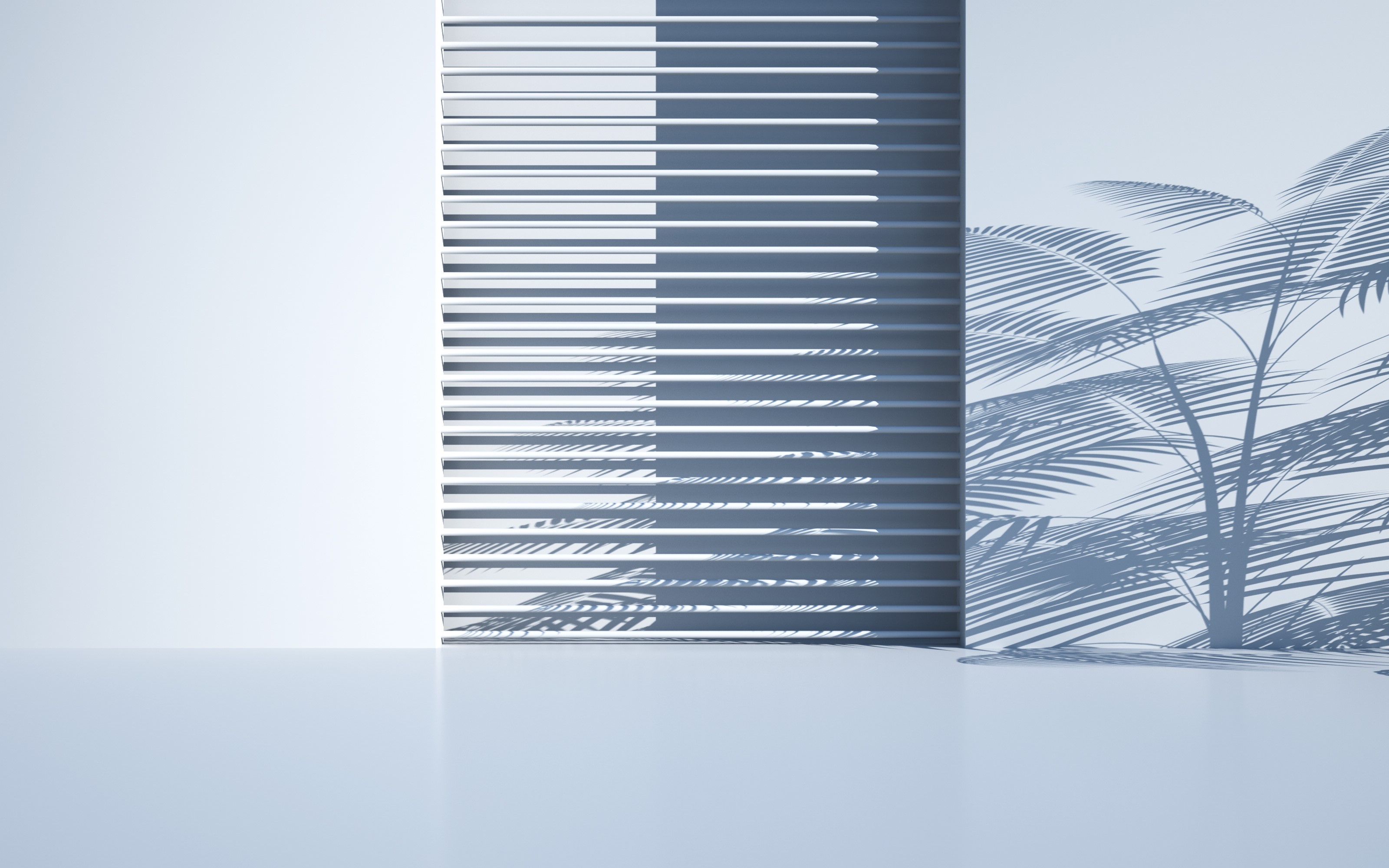shadow, white, texture HD Wallpaper