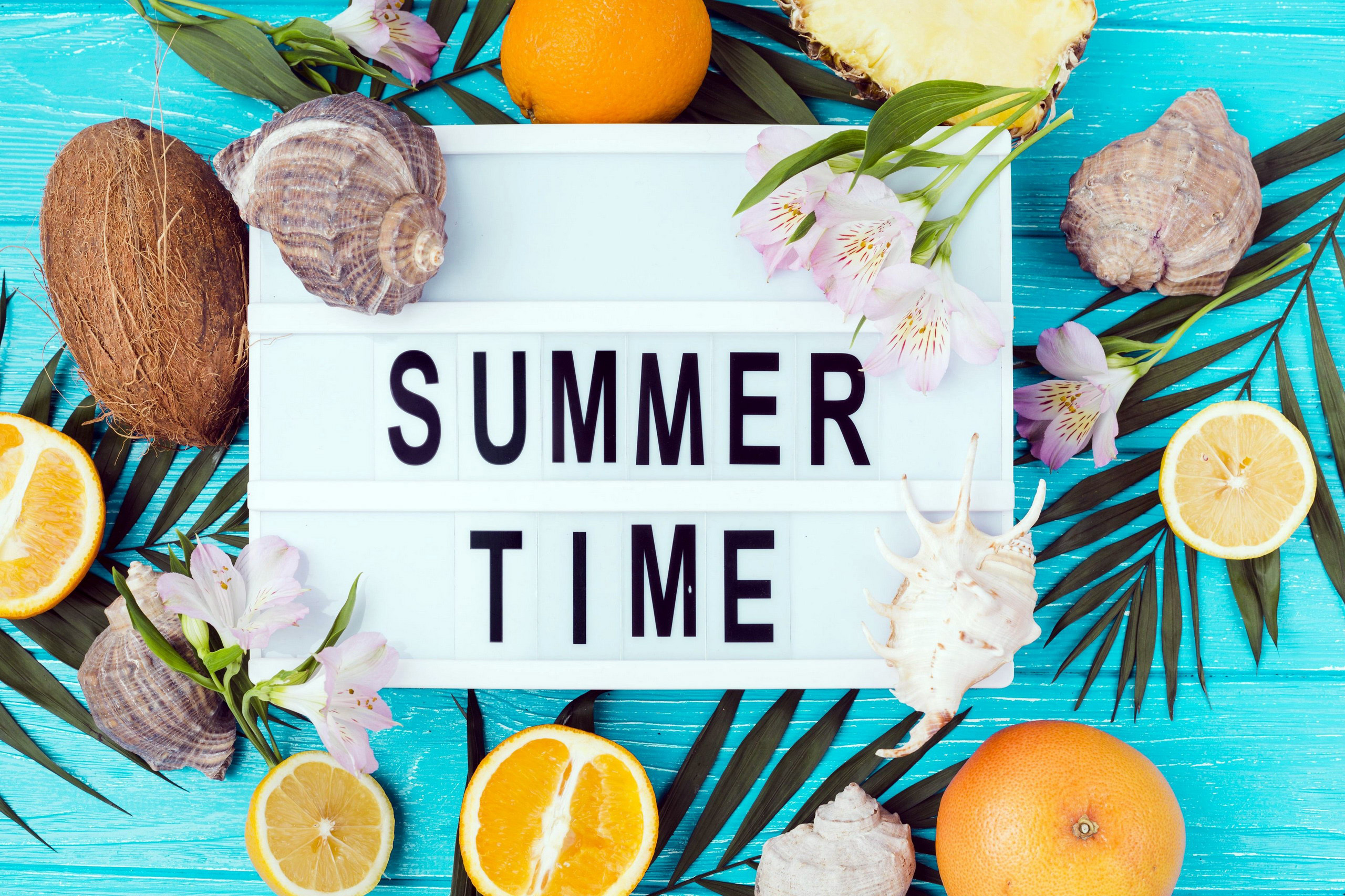 Summer Time with Fruits and Seashells HD Wallpaper