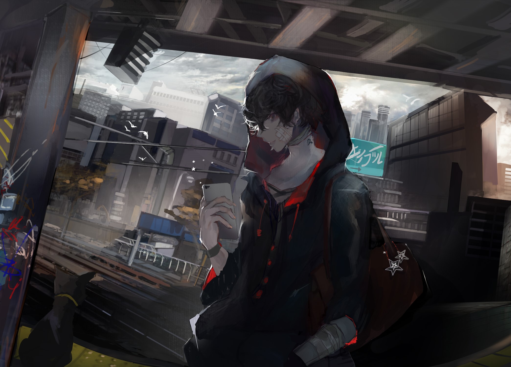 cats, Persona 5, anime boys, Persona series HD Wallpaper