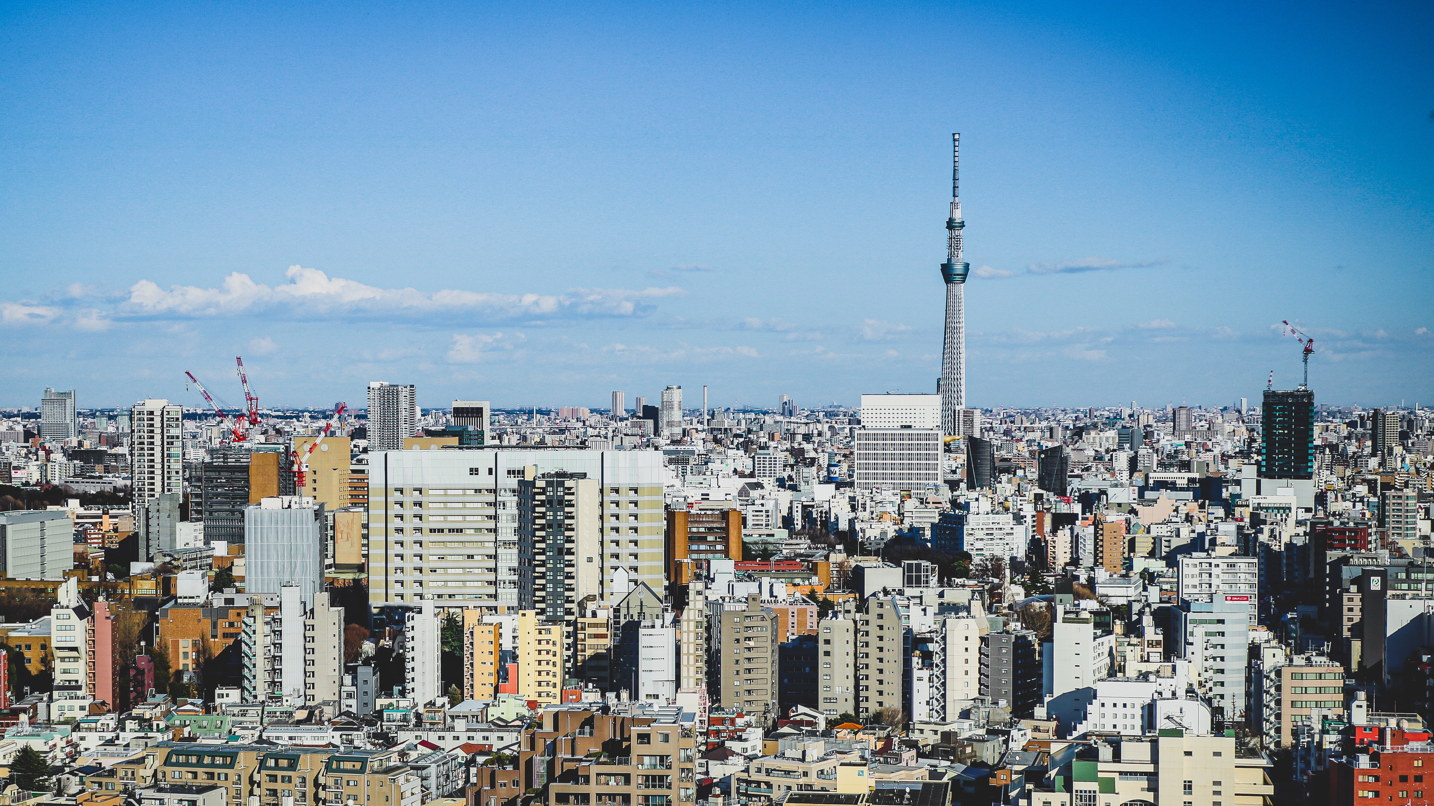 4K, Japan, Tokyo, Asia, cityscape HD Wallpaper