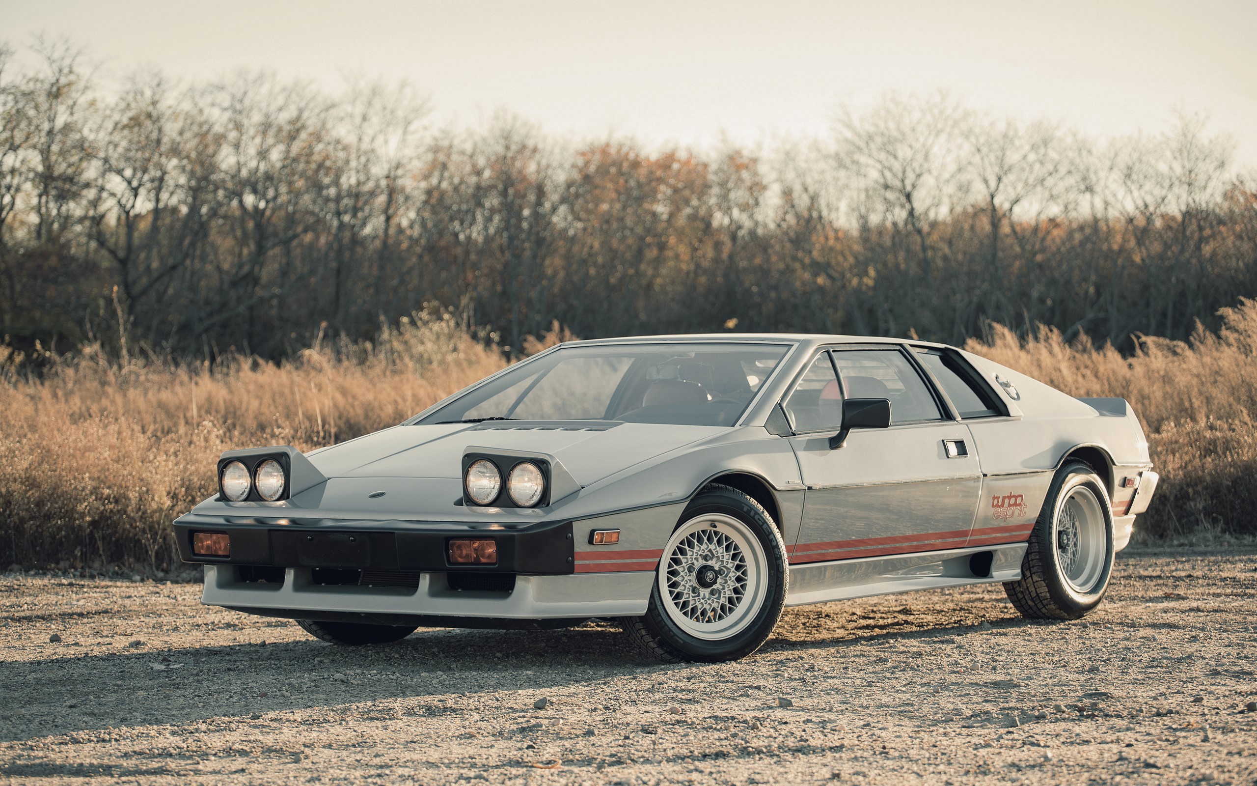 Lotus Esprit Turbo, Lotus Esprit, car HD Wallpaper