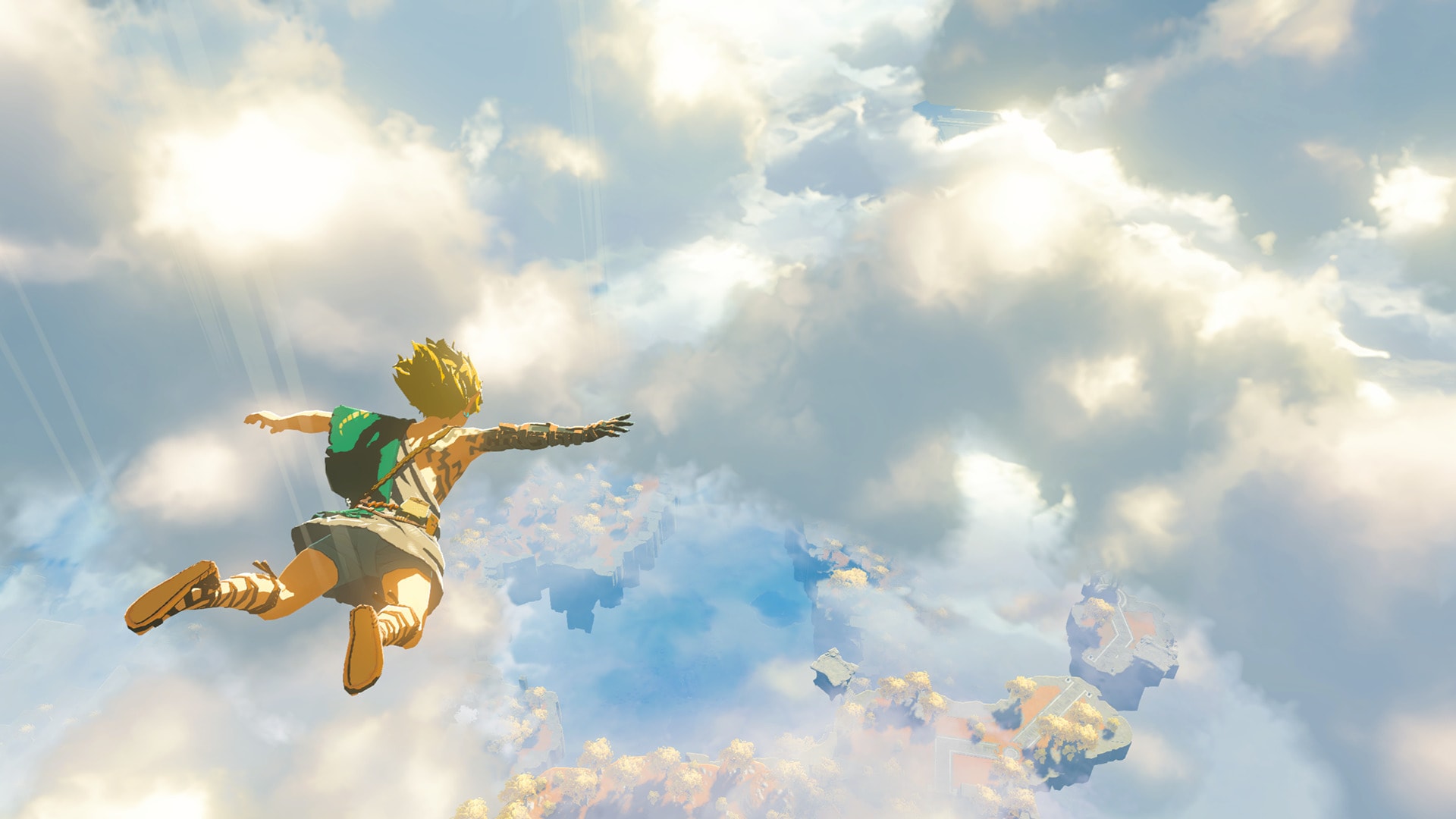 The Legend of Zelda: Tears of the Kingdom Link HD Wallpaper