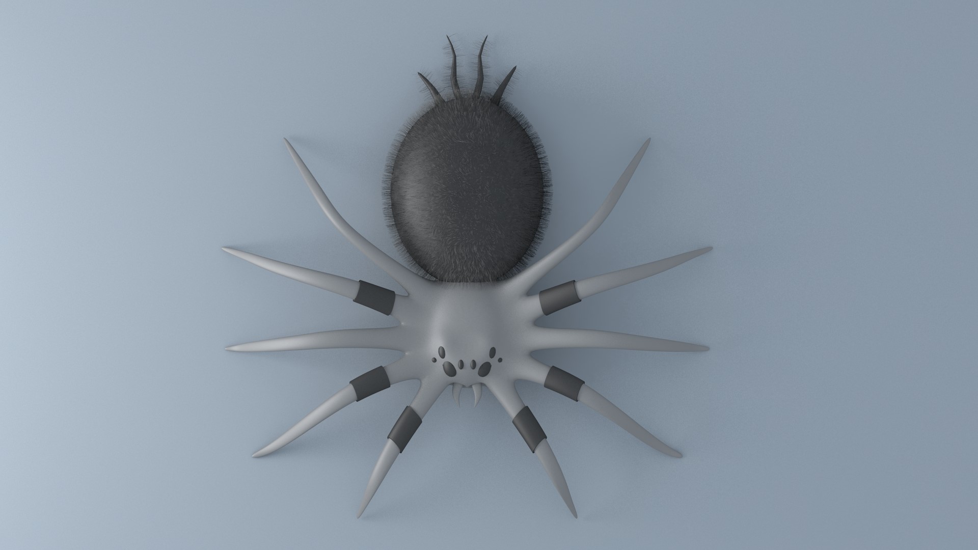 spider, Arachnid, 3D HD Wallpaper