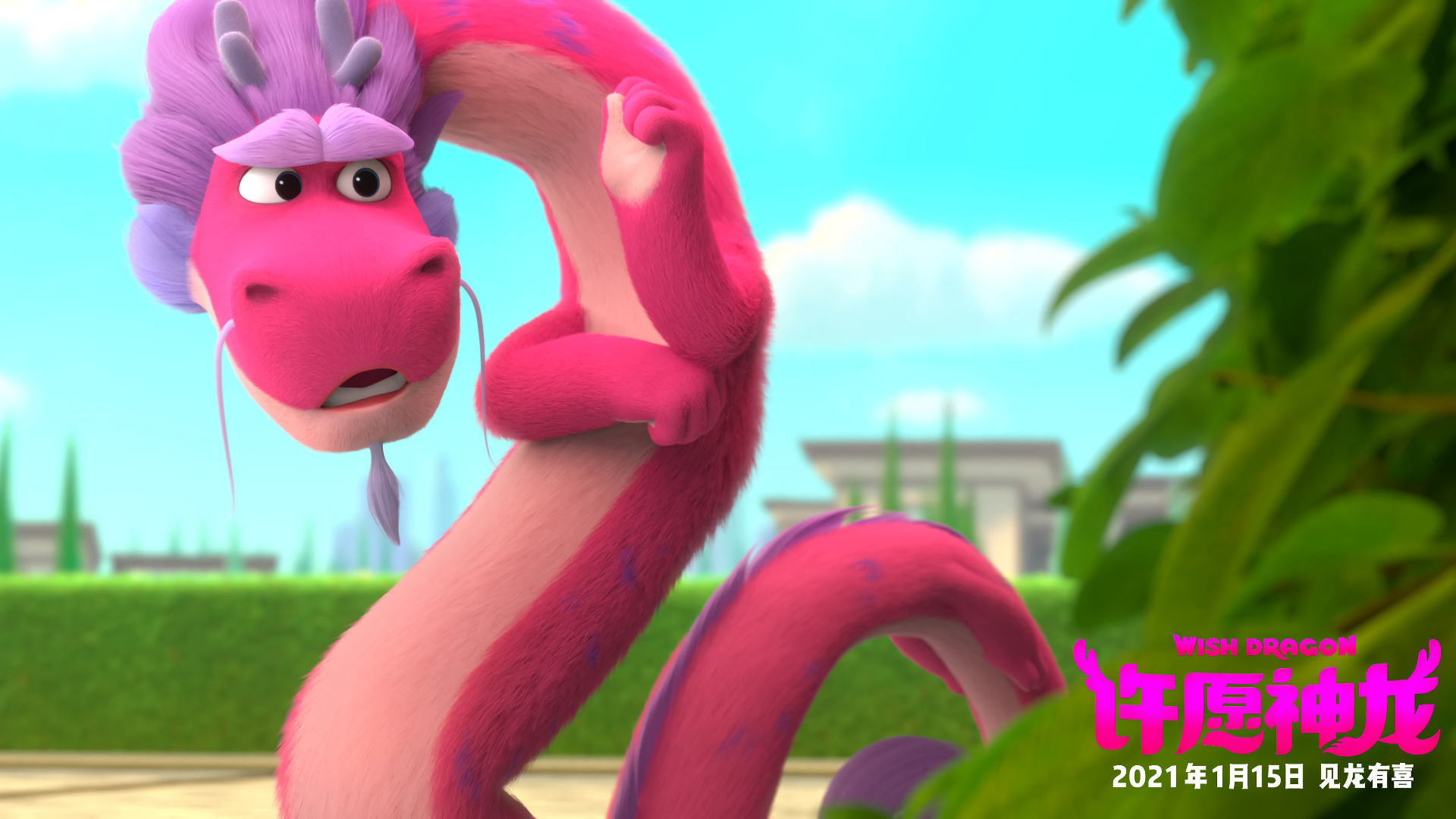 Wish Dragon Pink Dragon HD Wallpaper