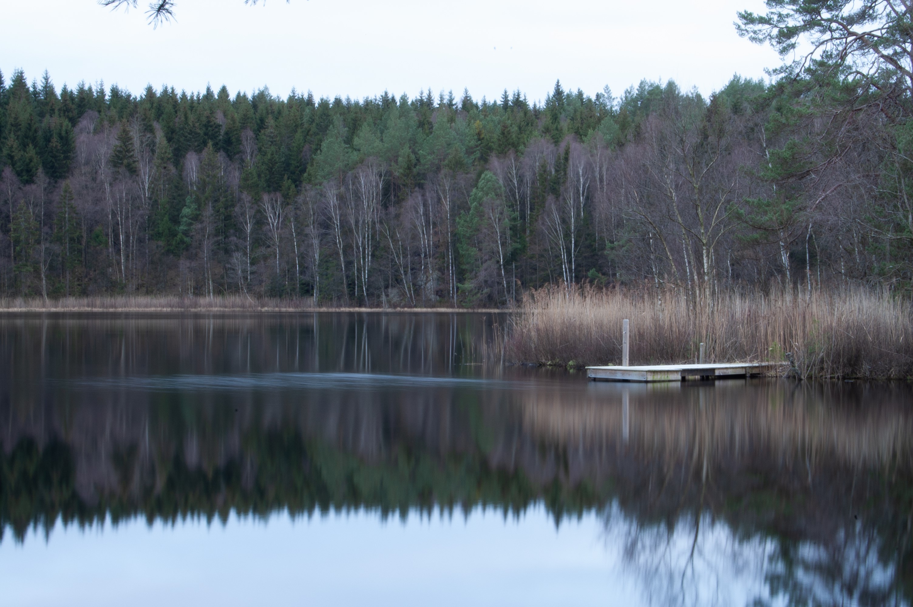 Wooden jetty on a calm lake with a forest reflection HD Wallpaper
