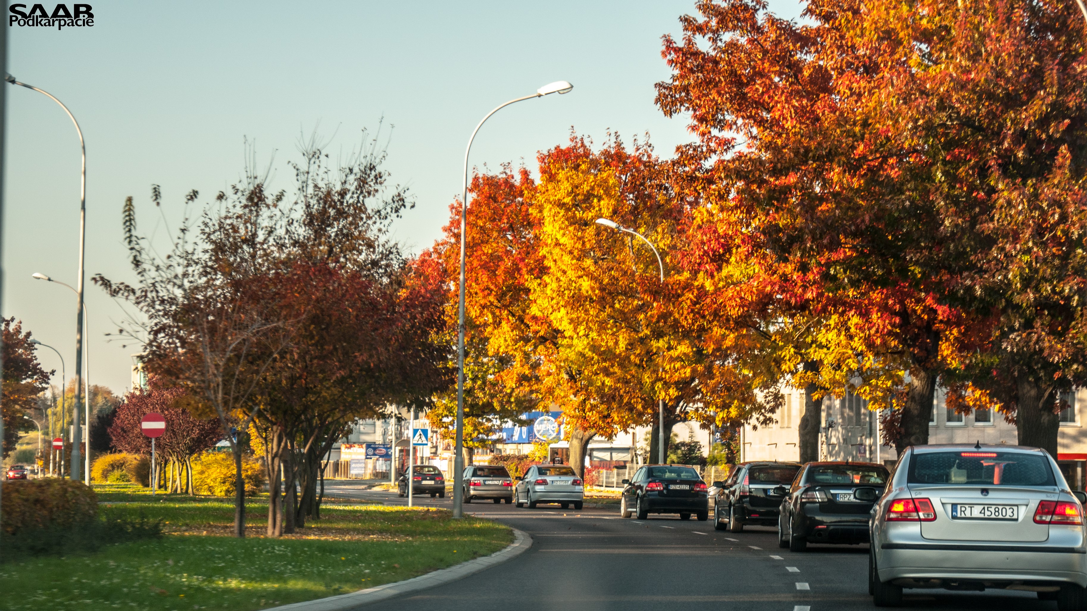 Saab cars on a road in Podkarpacie during fall HD Wallpaper