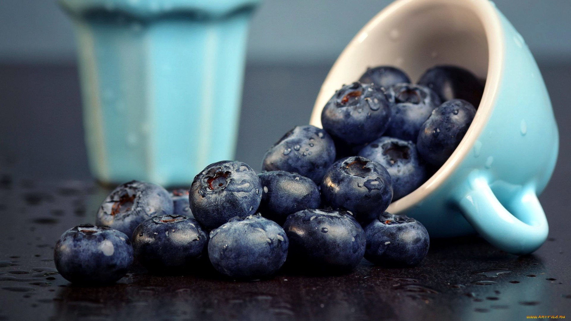 Blueberries spilling from a blue cup HD Wallpaper
