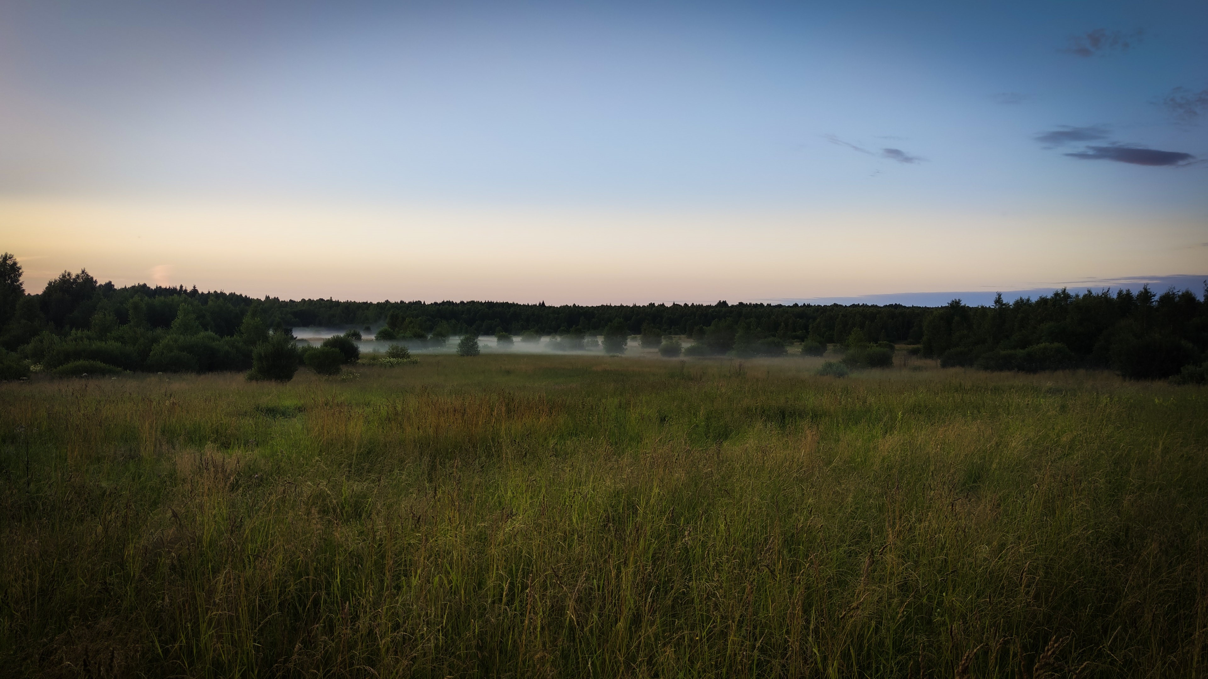 4K nature forest outdoors evening HD Wallpaper