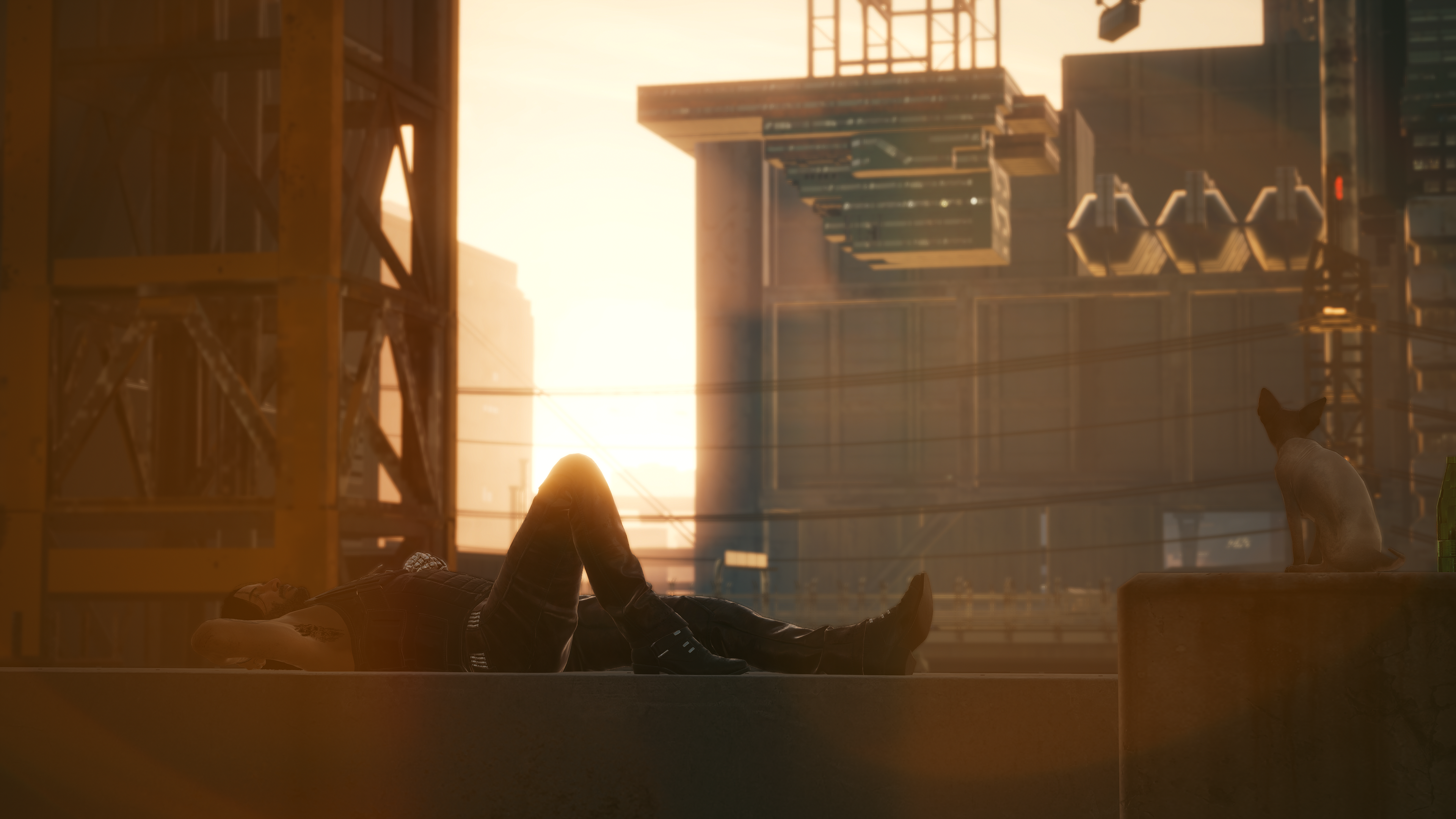 Male Vee and cat from Cyberpunk 2077 HD Wallpaper