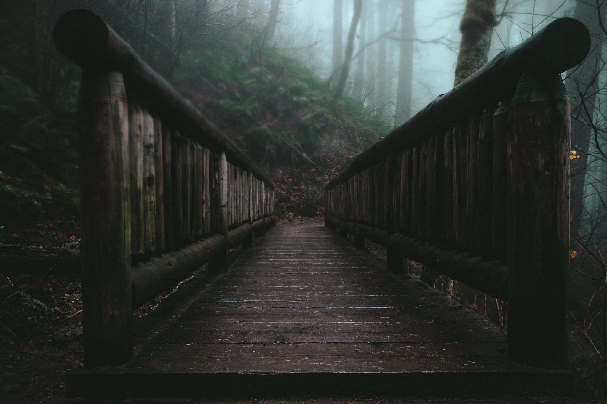Wooden bridge in a misty forest HD Wallpaper