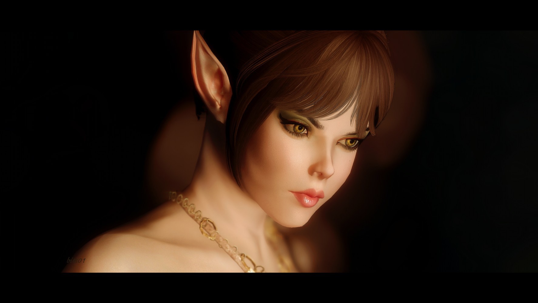 Elf woman from The Elder Scrolls V: Skyrim HD Wallpaper