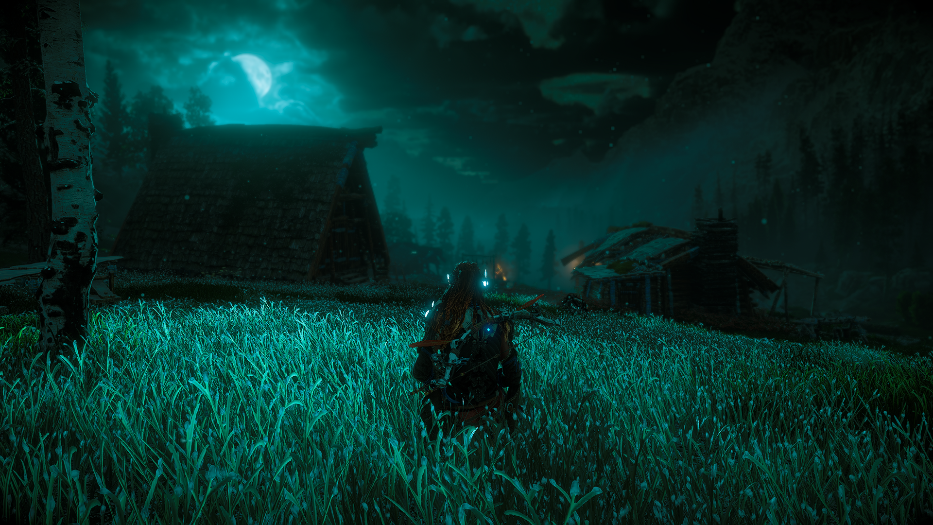Aloy from Horizon Zero Dawn in a field at night HD Wallpaper
