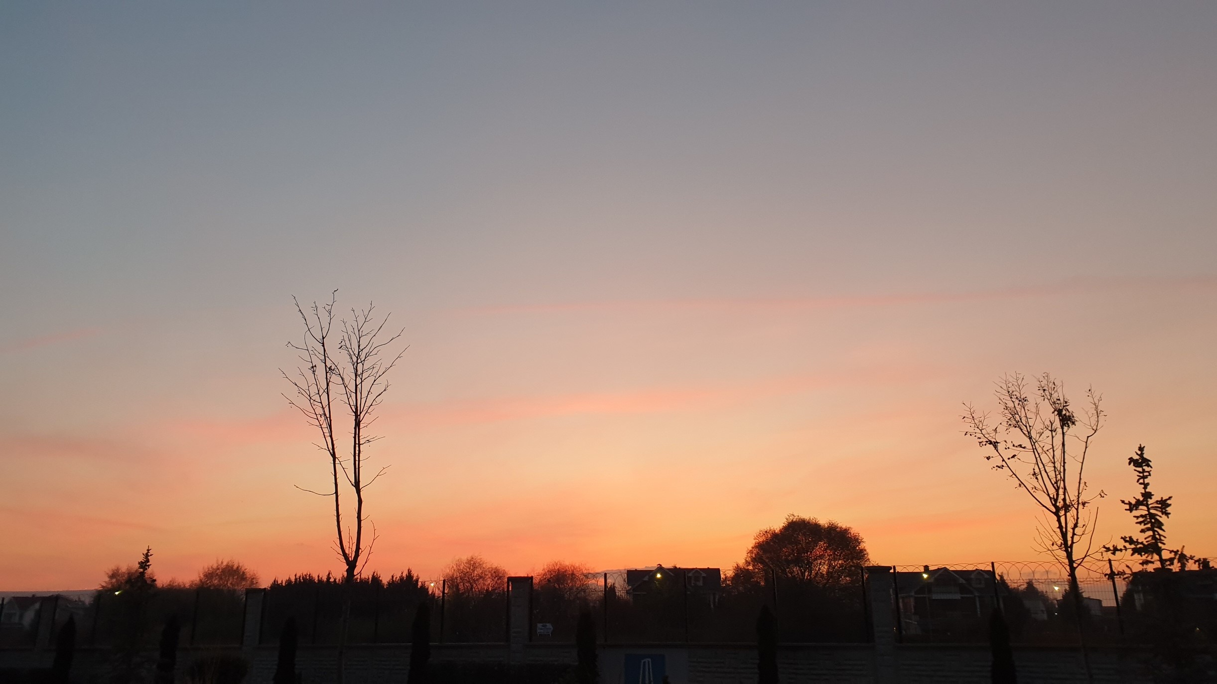 Sunset sky over a silhouetted landscape with trees HD Wallpaper
