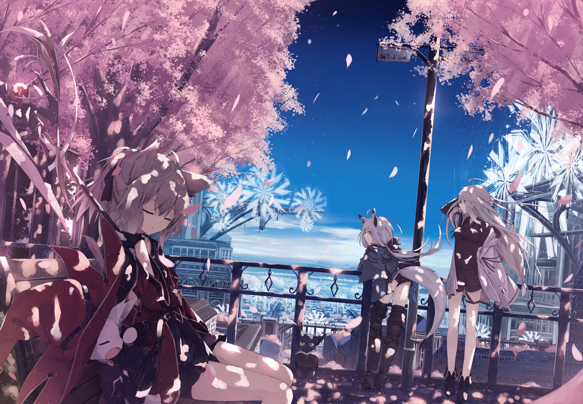 Anime girls with animal ears under cherry blossoms HD Wallpaper