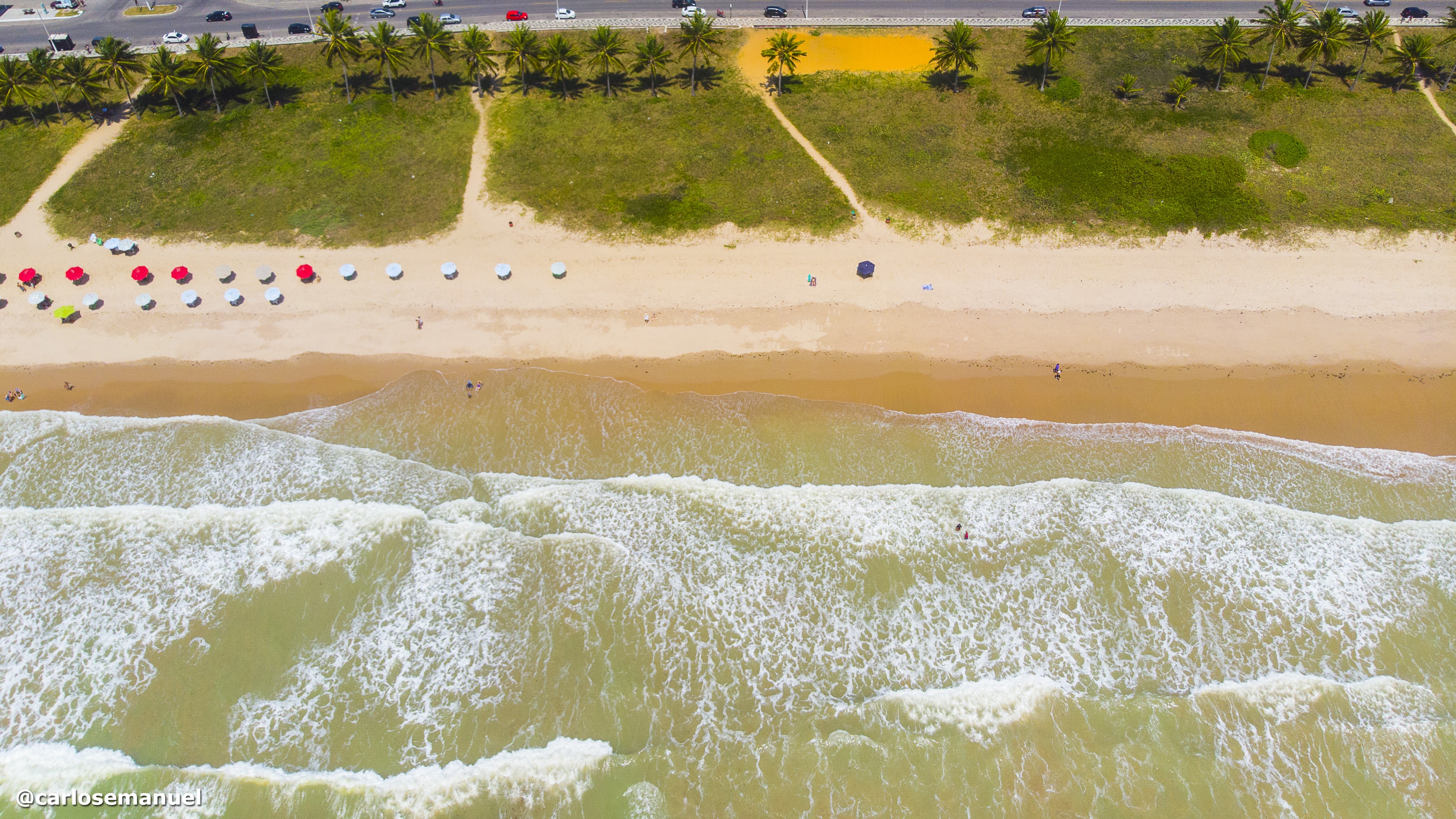 Aerial view of a beach in João Pessoa with palm trees and waves HD Wallpaper