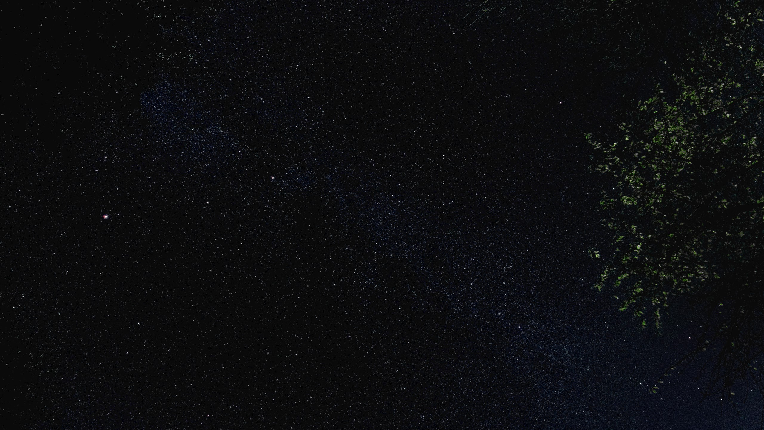 Night sky with stars and the Milky Way HD Wallpaper
