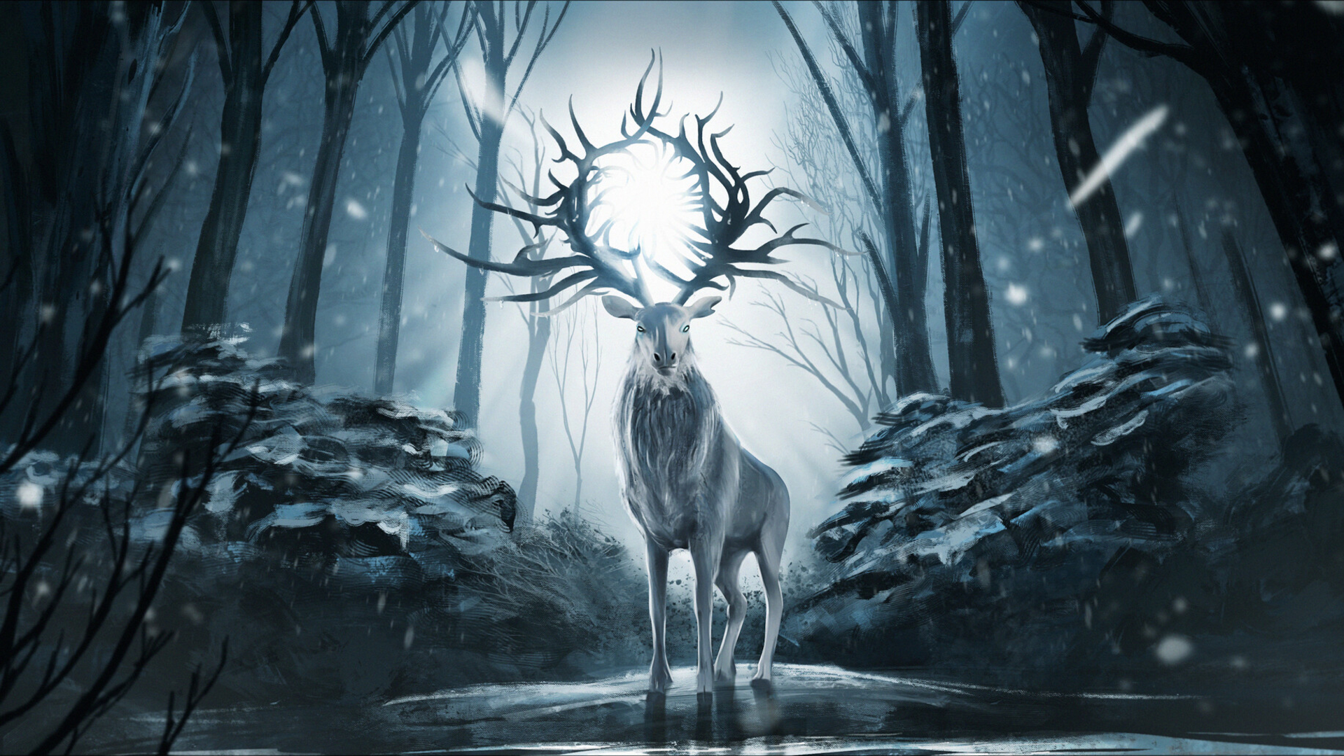 Shadow and Bone Deer in Snowy Forest HD Wallpaper