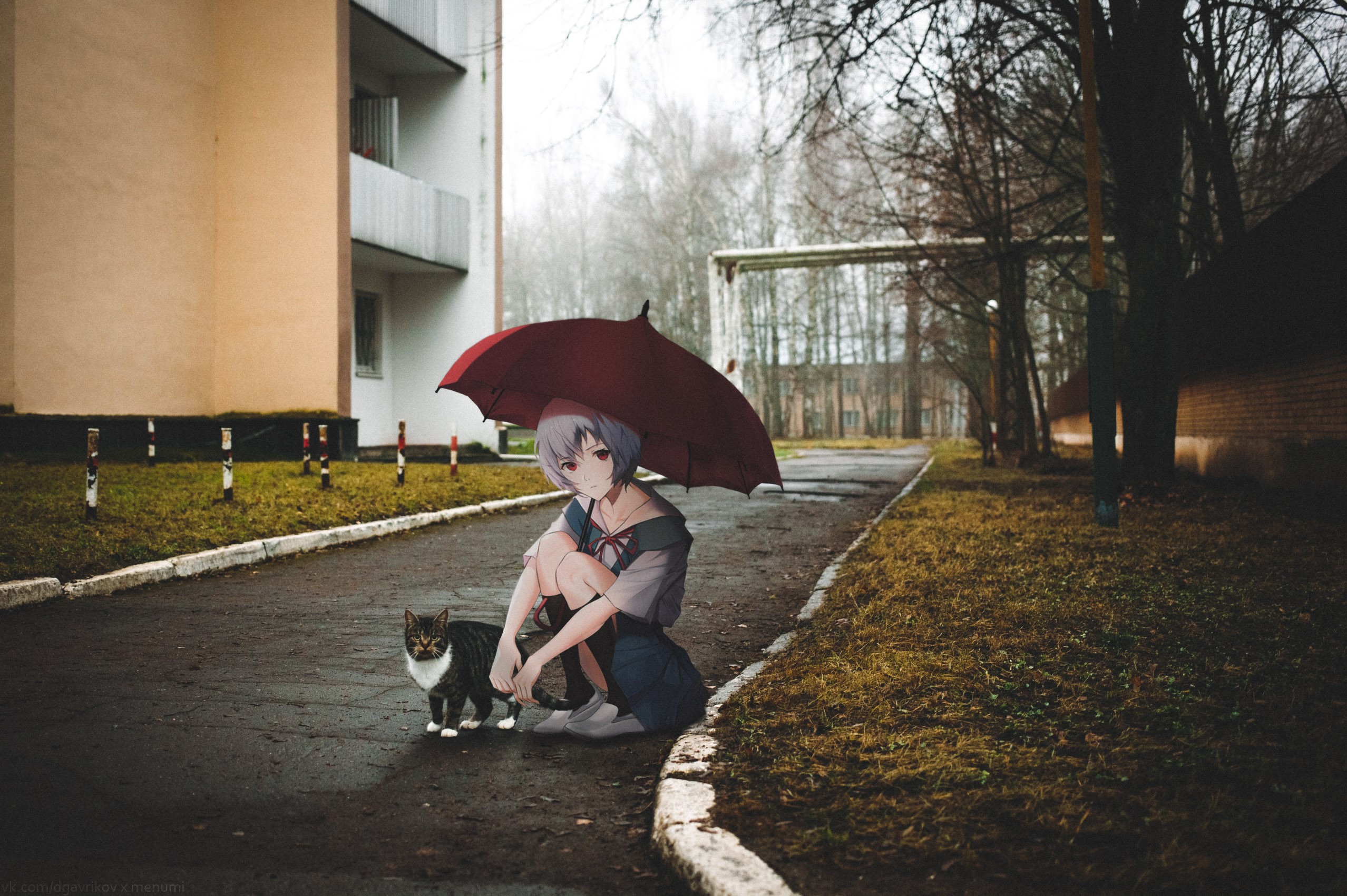 Ayanami Rei from Neon Genesis Evangelion with a cat in Russia HD Wallpaper