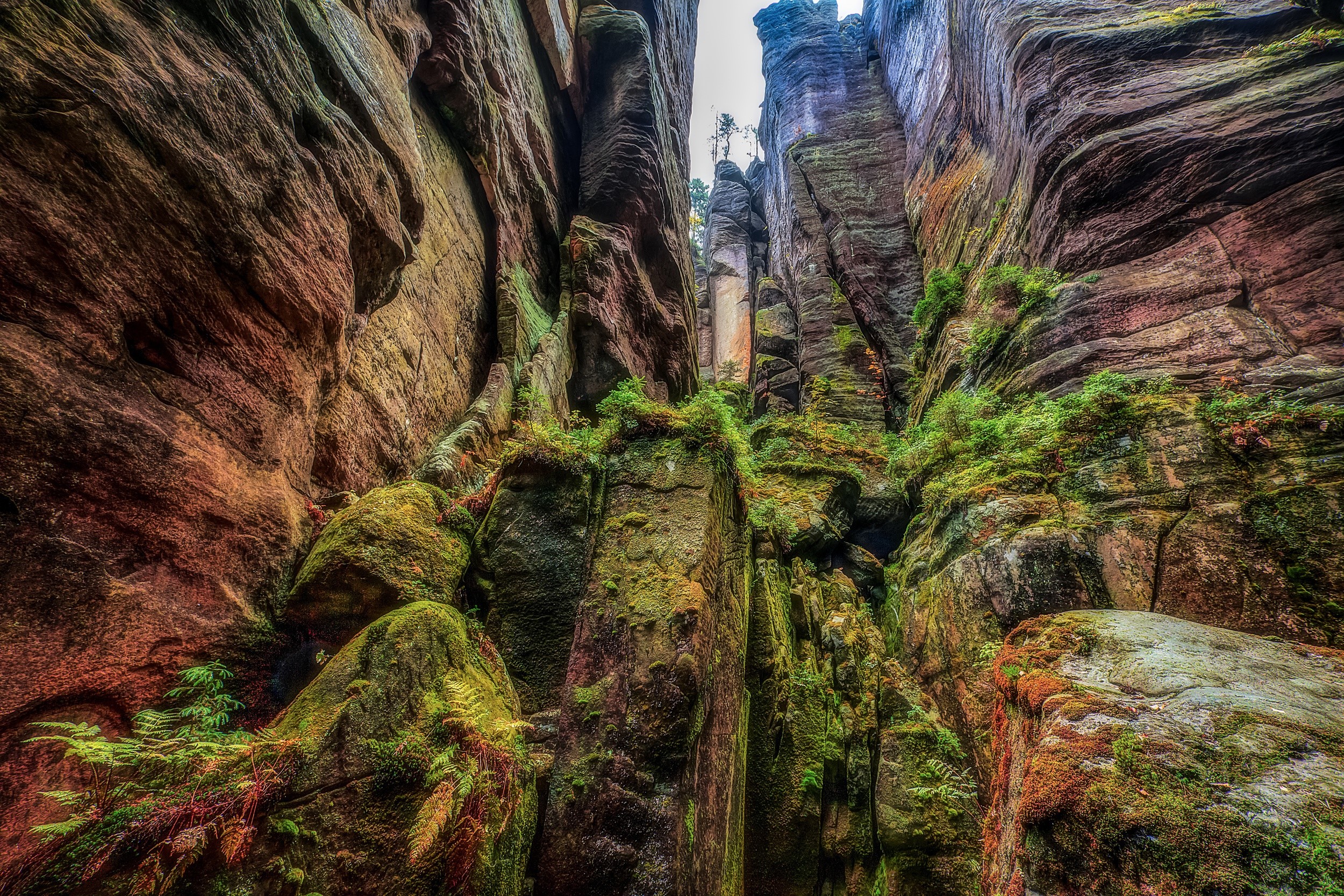 Mossy rock formations in a narrow canyon HD Wallpaper