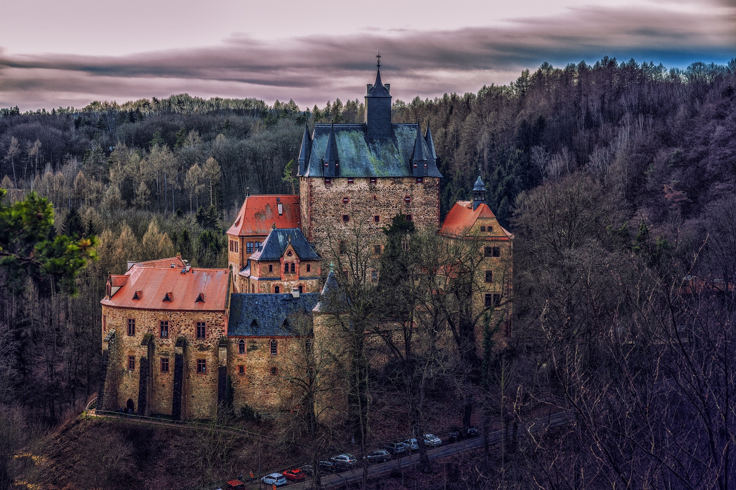 Historic German Castle Surrounded by Forest HD Wallpaper