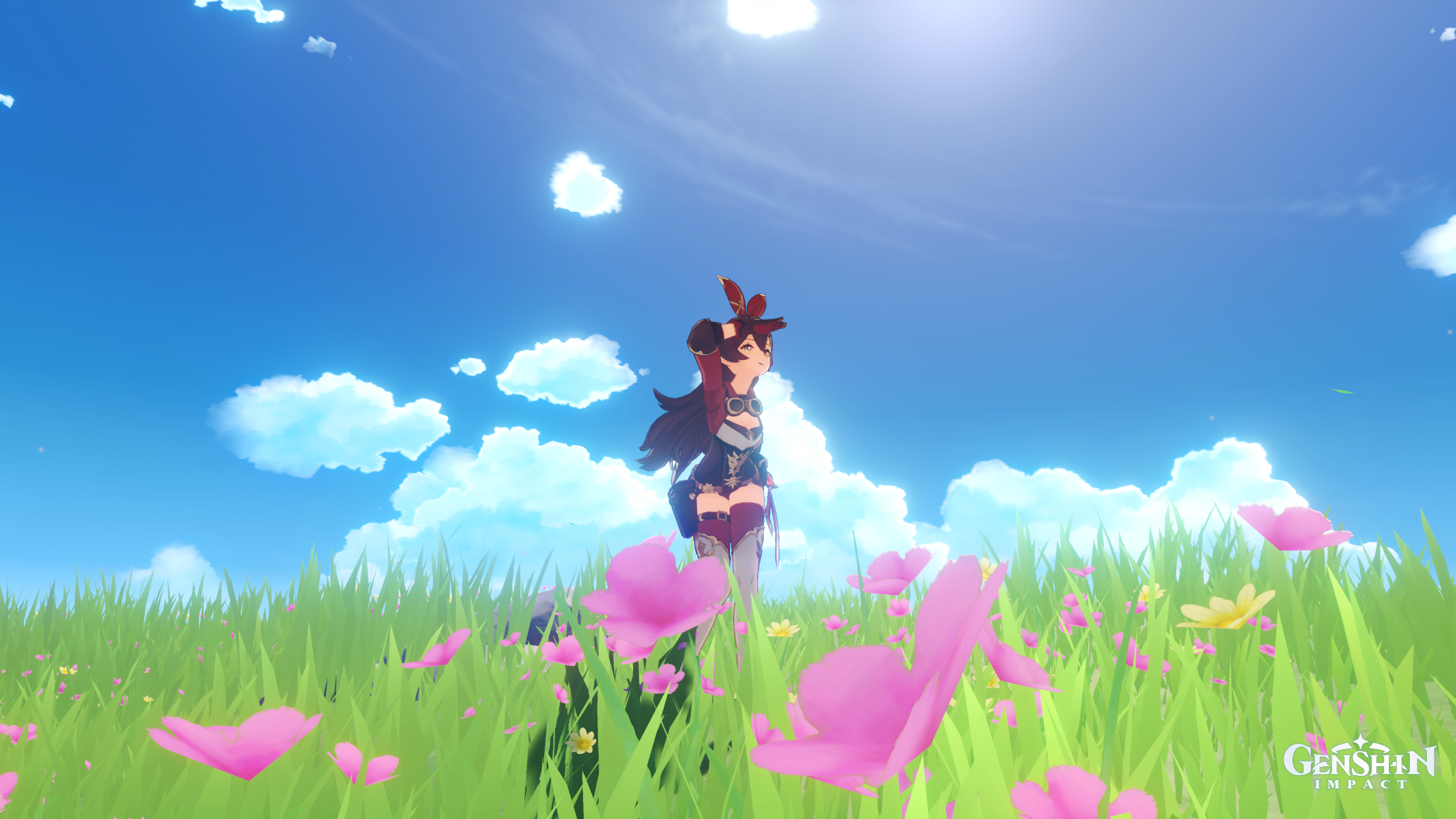 Amber from Genshin Impact in a field of flowers HD Wallpaper