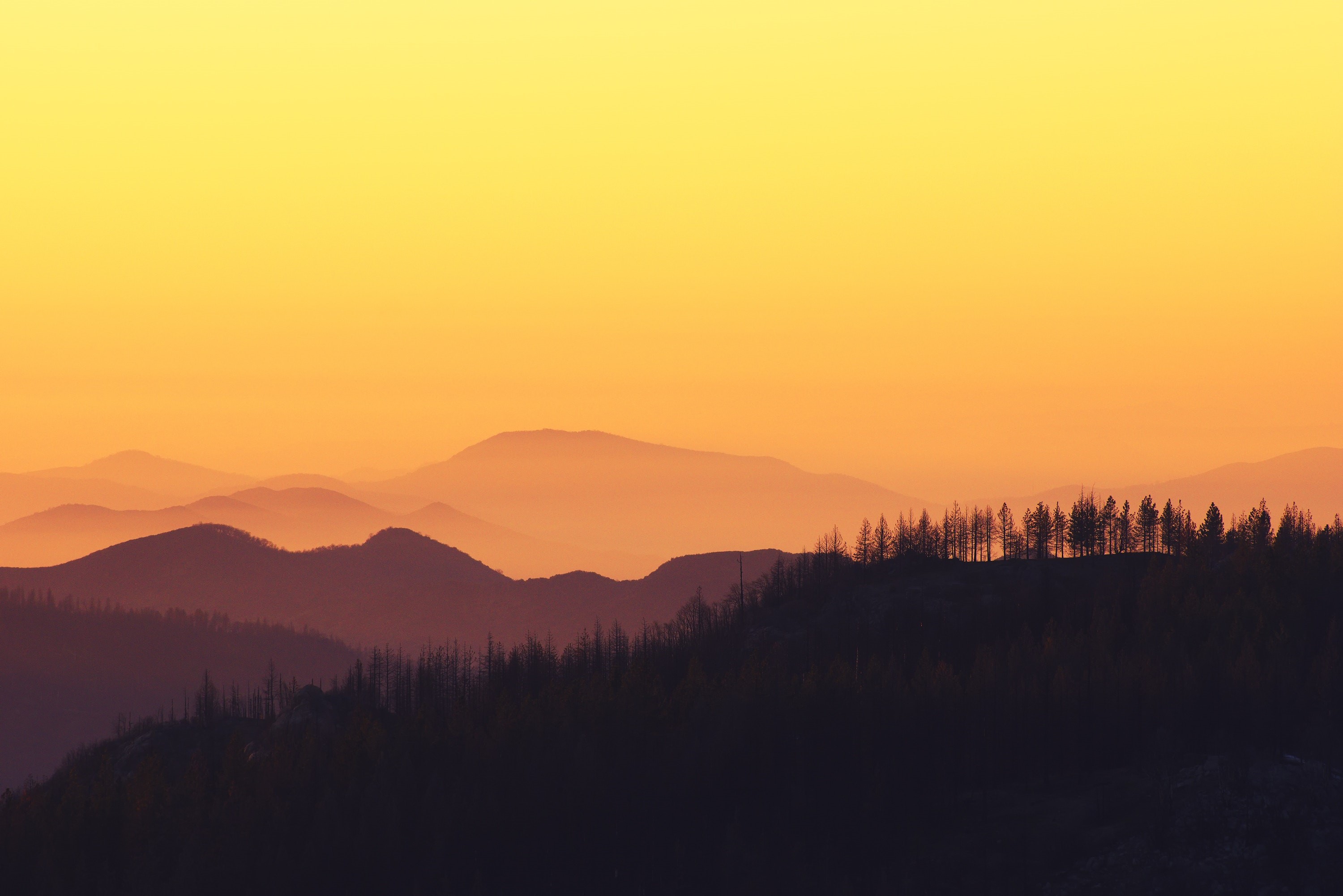 Silhouette of trees on mountains against an orange sky HD Wallpaper