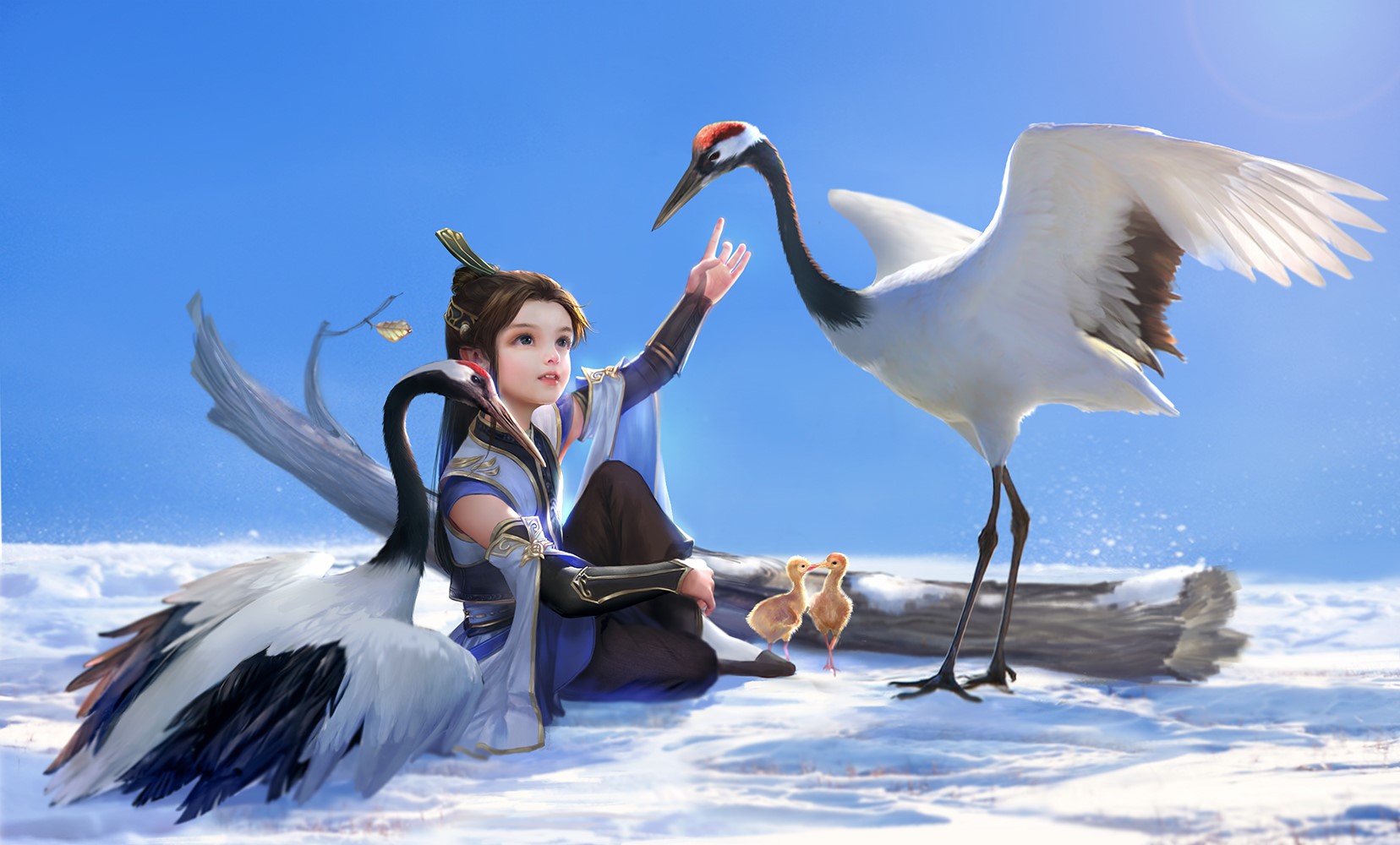 Child with cranes and chicks in the snow HD Wallpaper