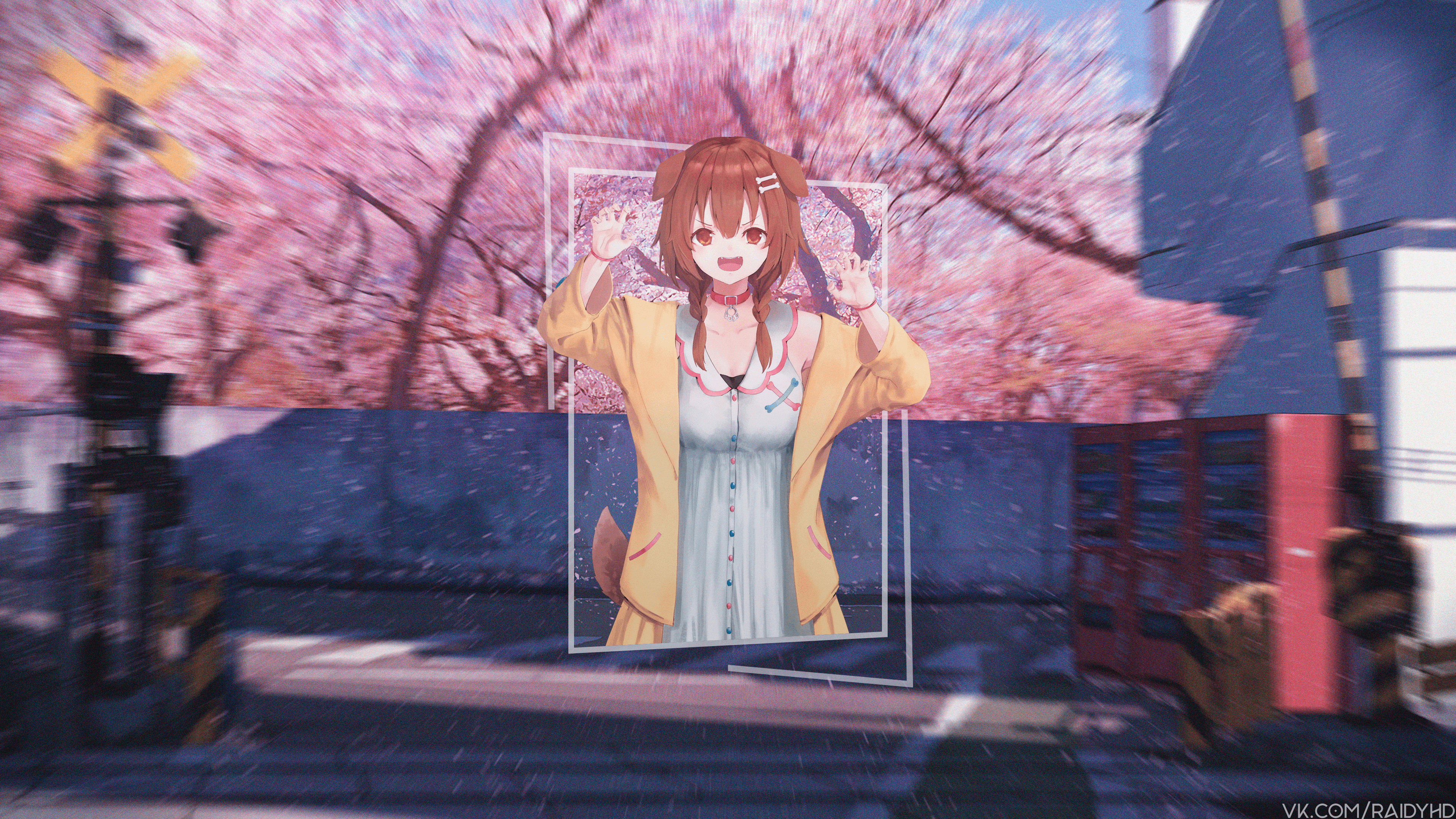 4K Inugami Korone from Hololive HD Wallpaper