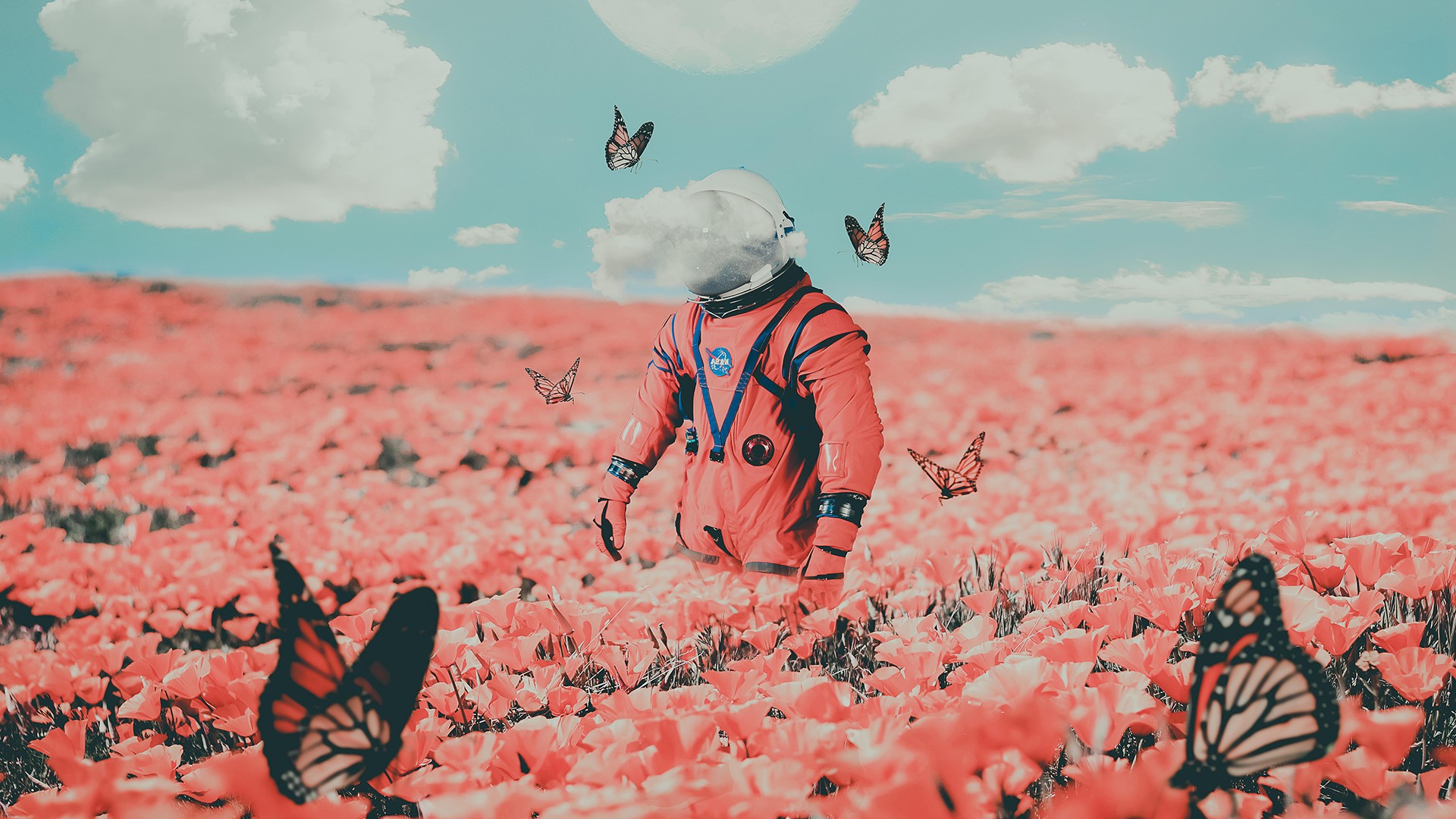 Astronaut in a field of pink flowers with butterflies HD Wallpaper