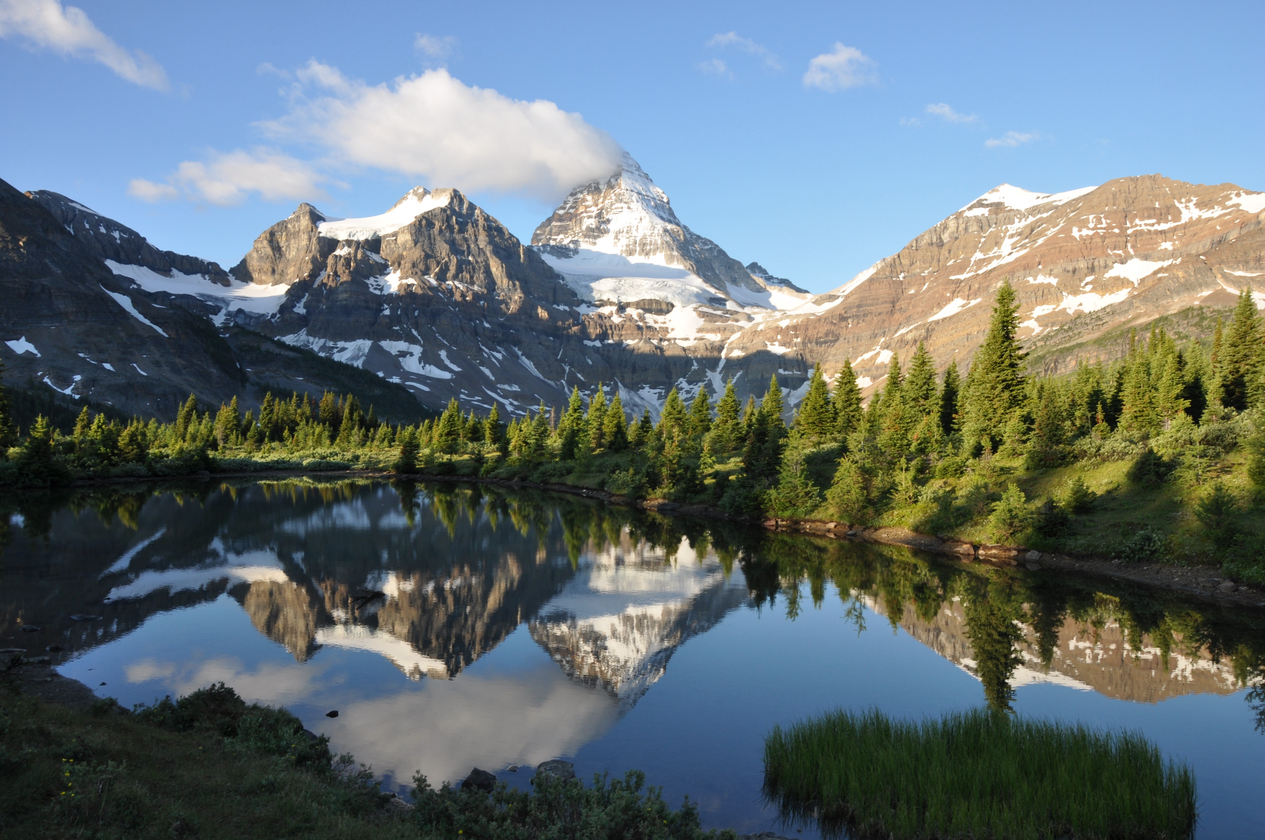 Lake reflection of snow-capped mountains and pine forest HD Wallpaper