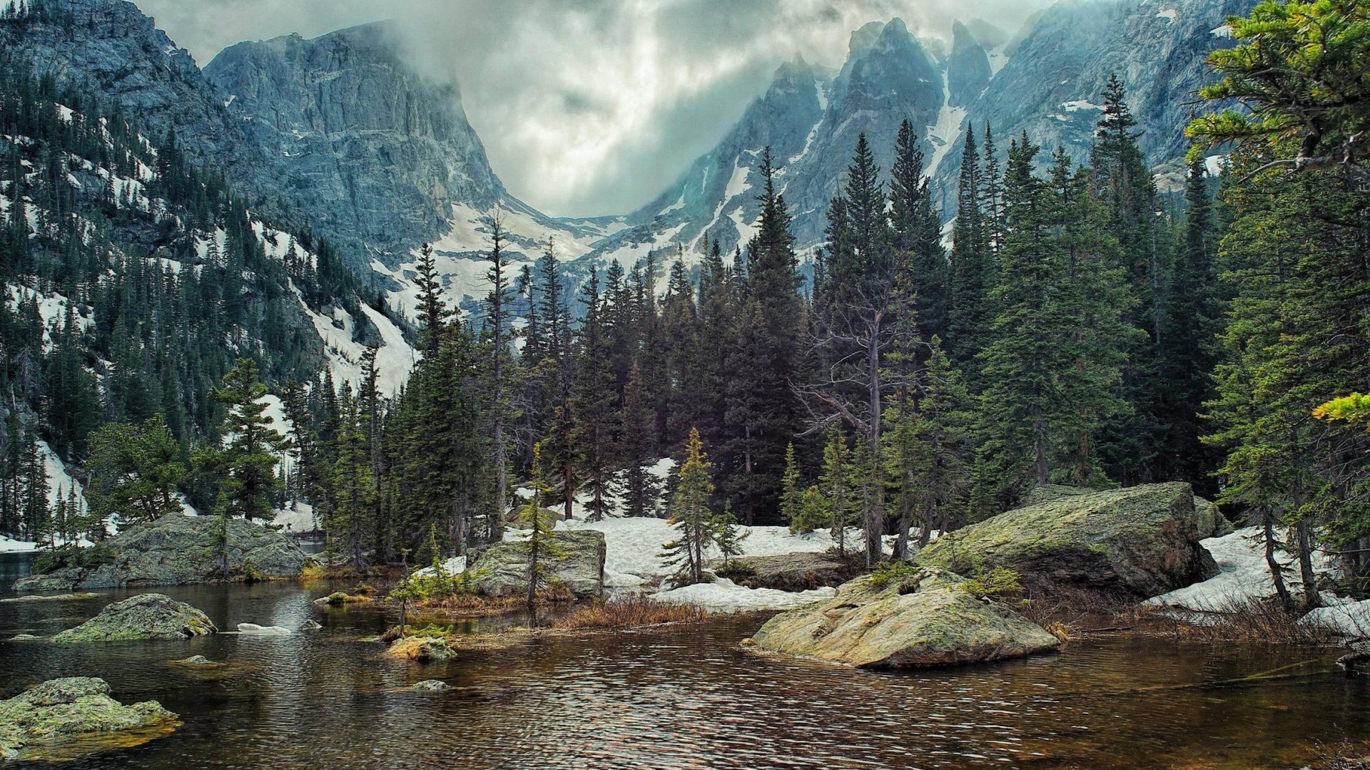 Rocky Mountains with Pine Forest and Lake HD Wallpaper