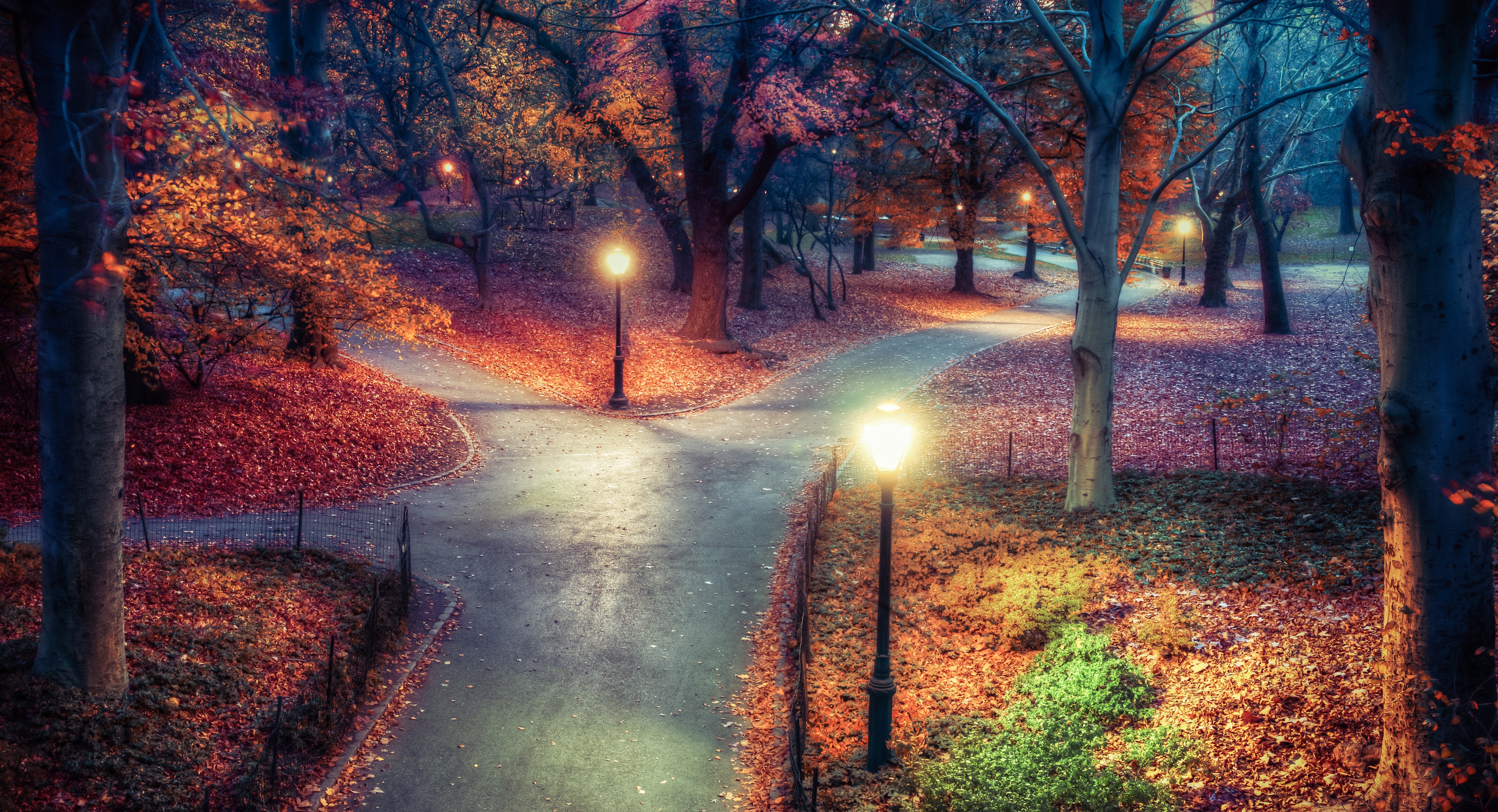 Park path with street lights and fallen leaves in the evening HD Wallpaper