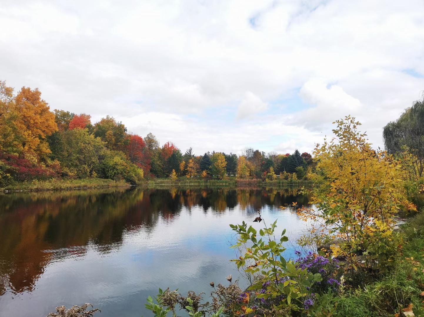 Autumn trees reflecting in a calm lake HD Wallpaper