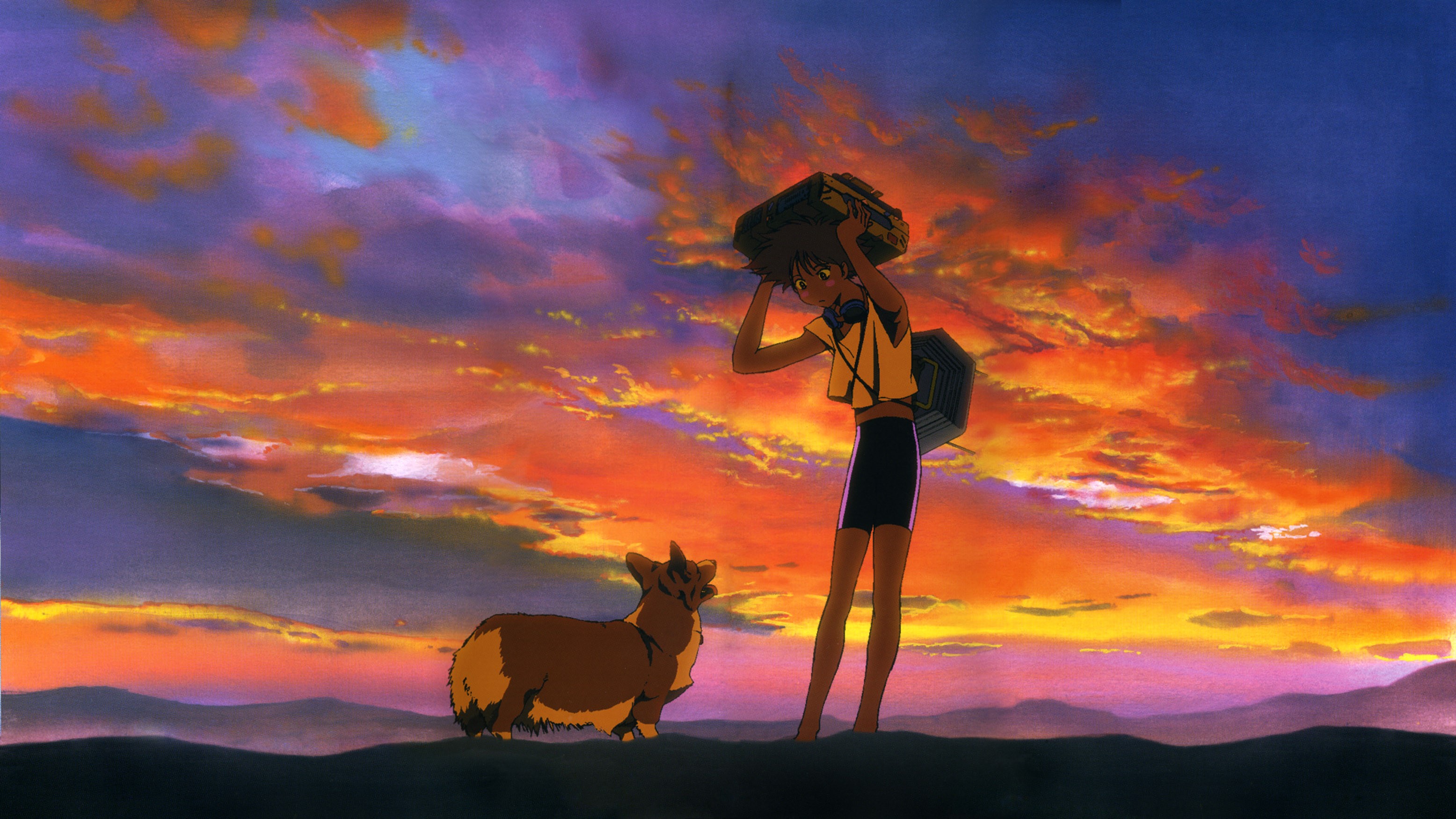 Edward from Cowboy Bebop with Ein at sunset HD Wallpaper