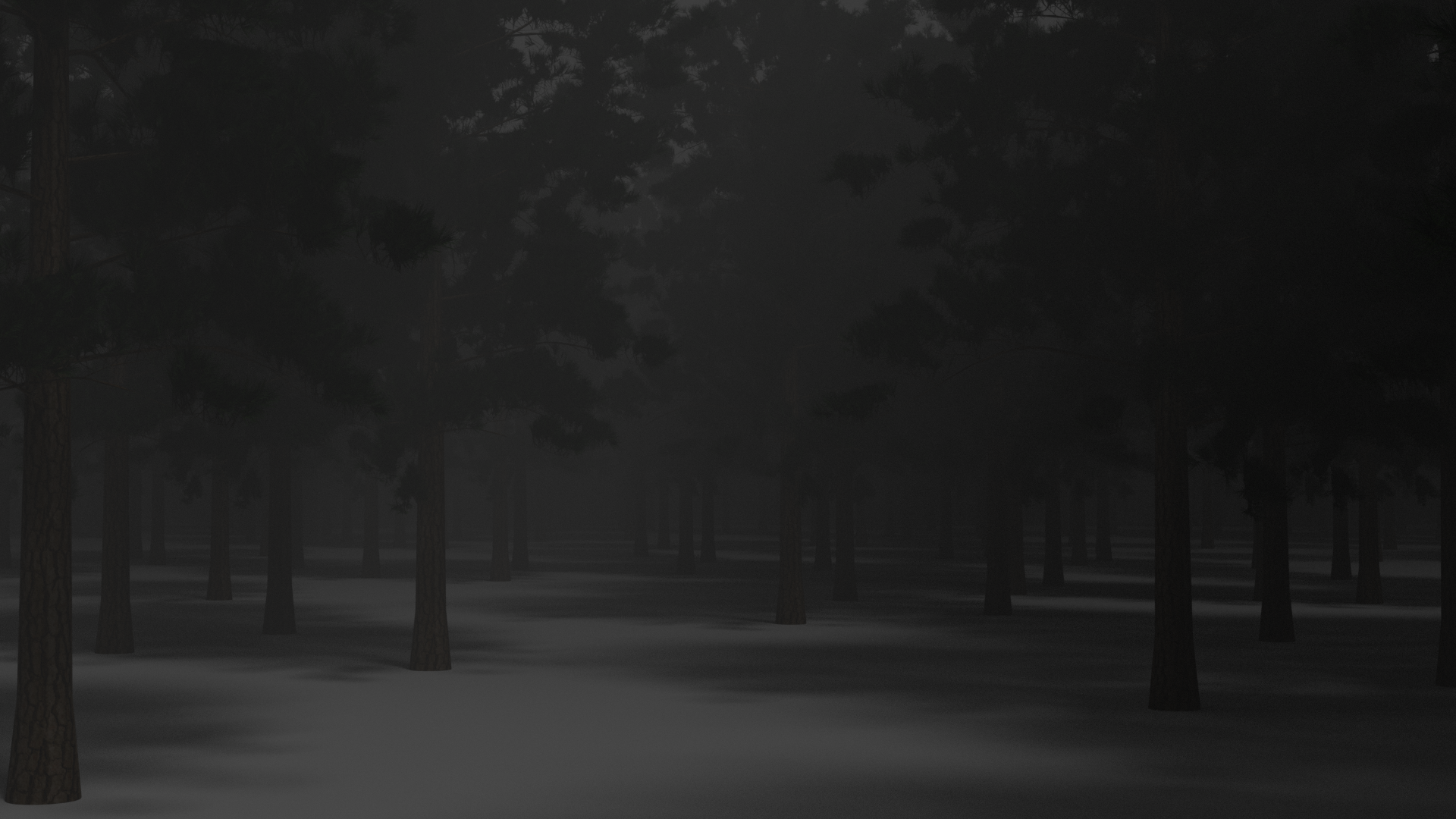 Dark forest with mist and pine trees at night HD Wallpaper