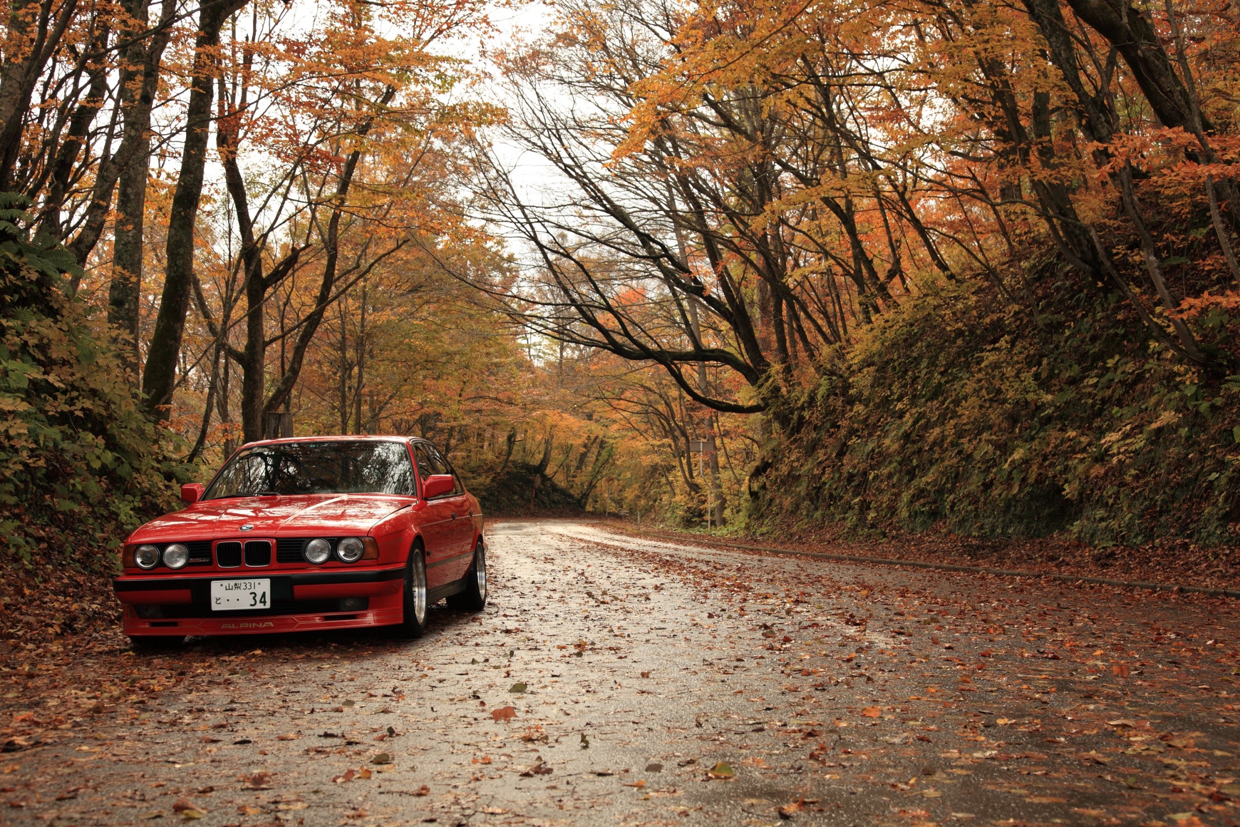 Red BMW car on a road in autumn forest HD Wallpaper