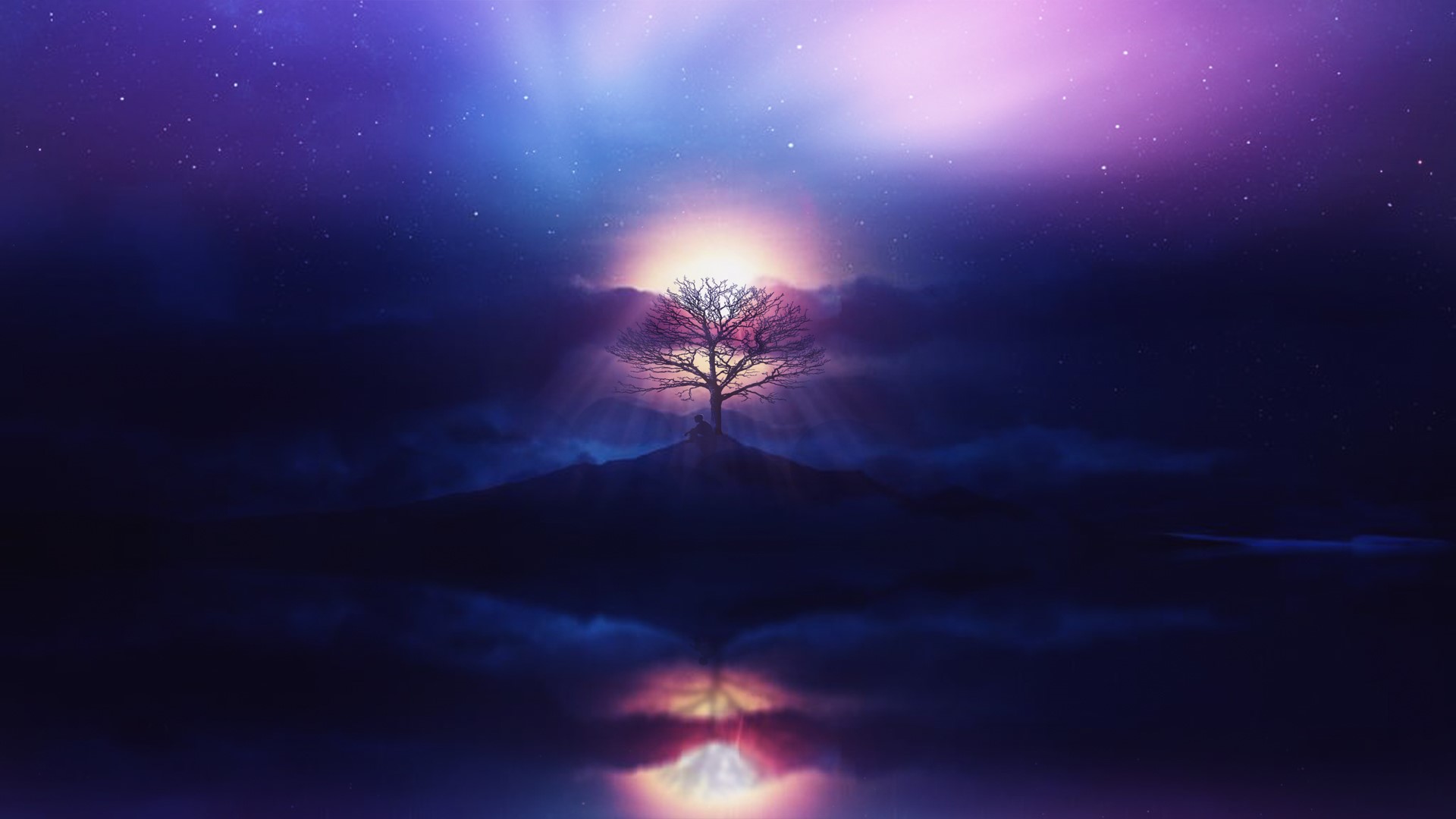 Silhouette of a bare tree on a hill at sunset HD Wallpaper