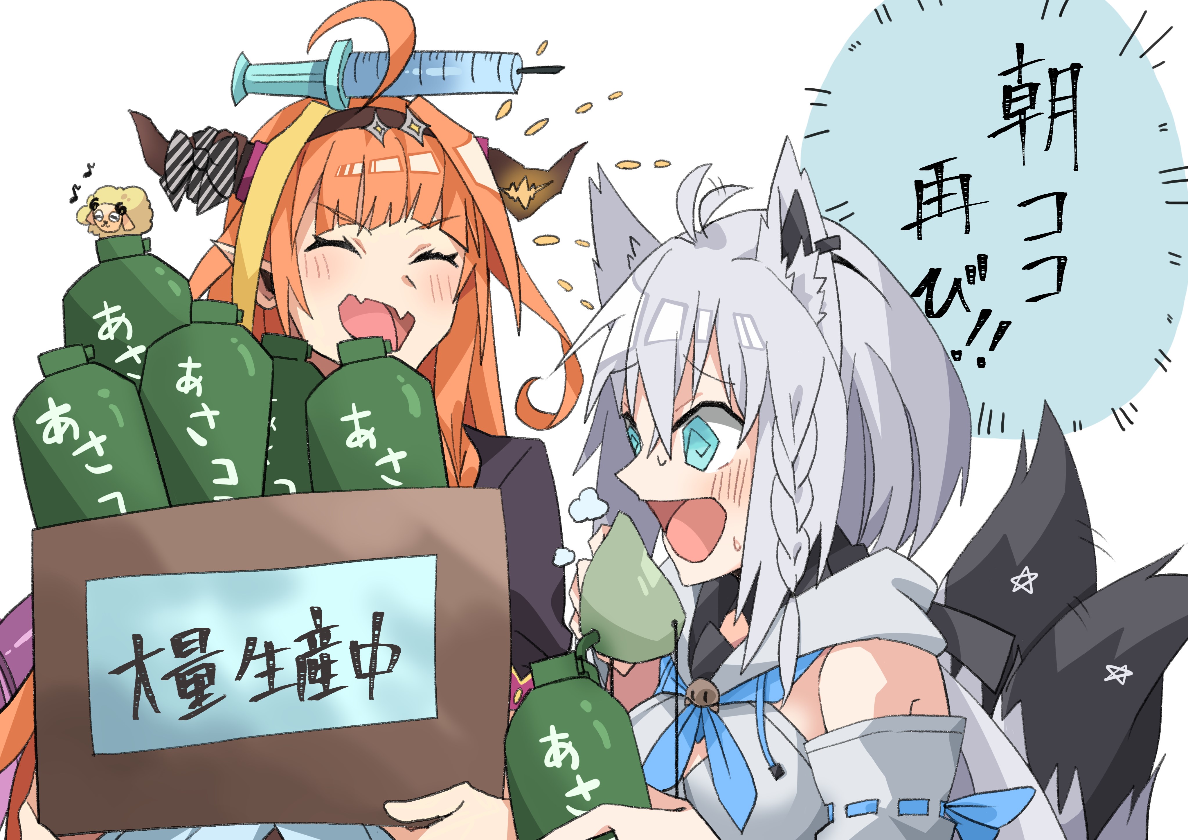 Kiryu Coco and Shirakami Fubuki from Hololive HD Wallpaper