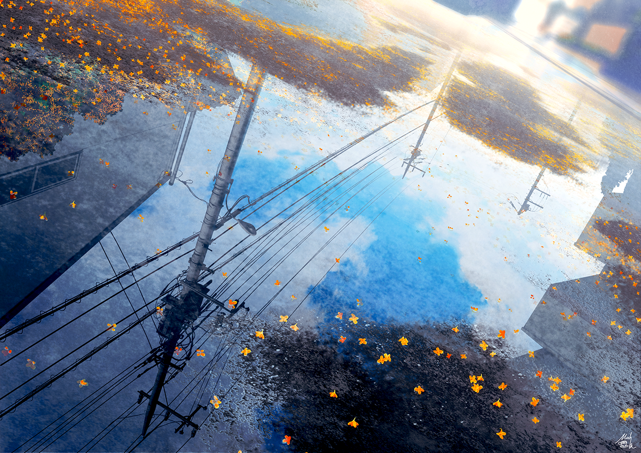 Reflection of telephone poles and autumn leaves in a puddle HD Wallpaper