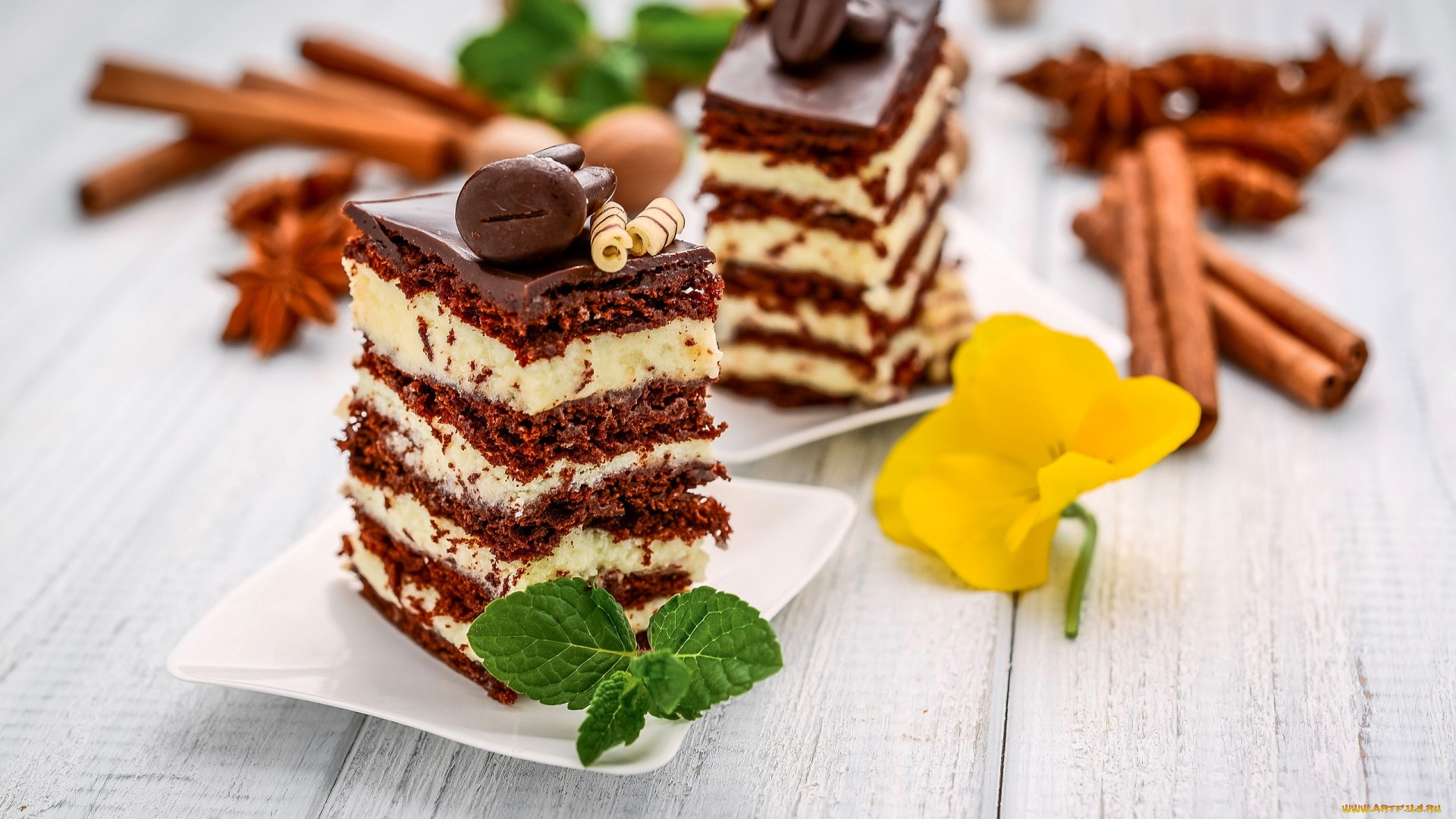 Chocolate cake with cream and mint leaves HD Wallpaper