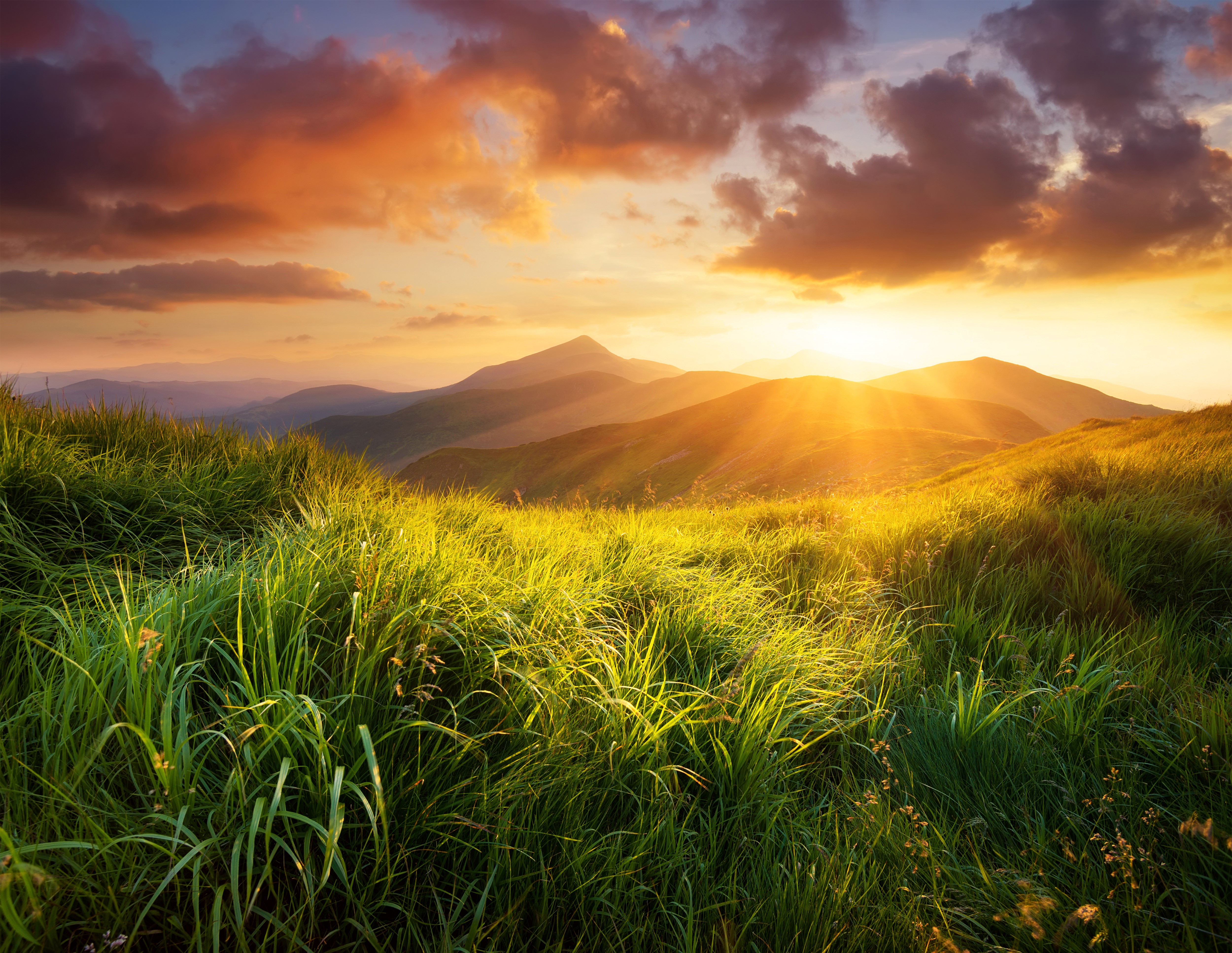 Sunset over mountains with grass in foreground HD Wallpaper