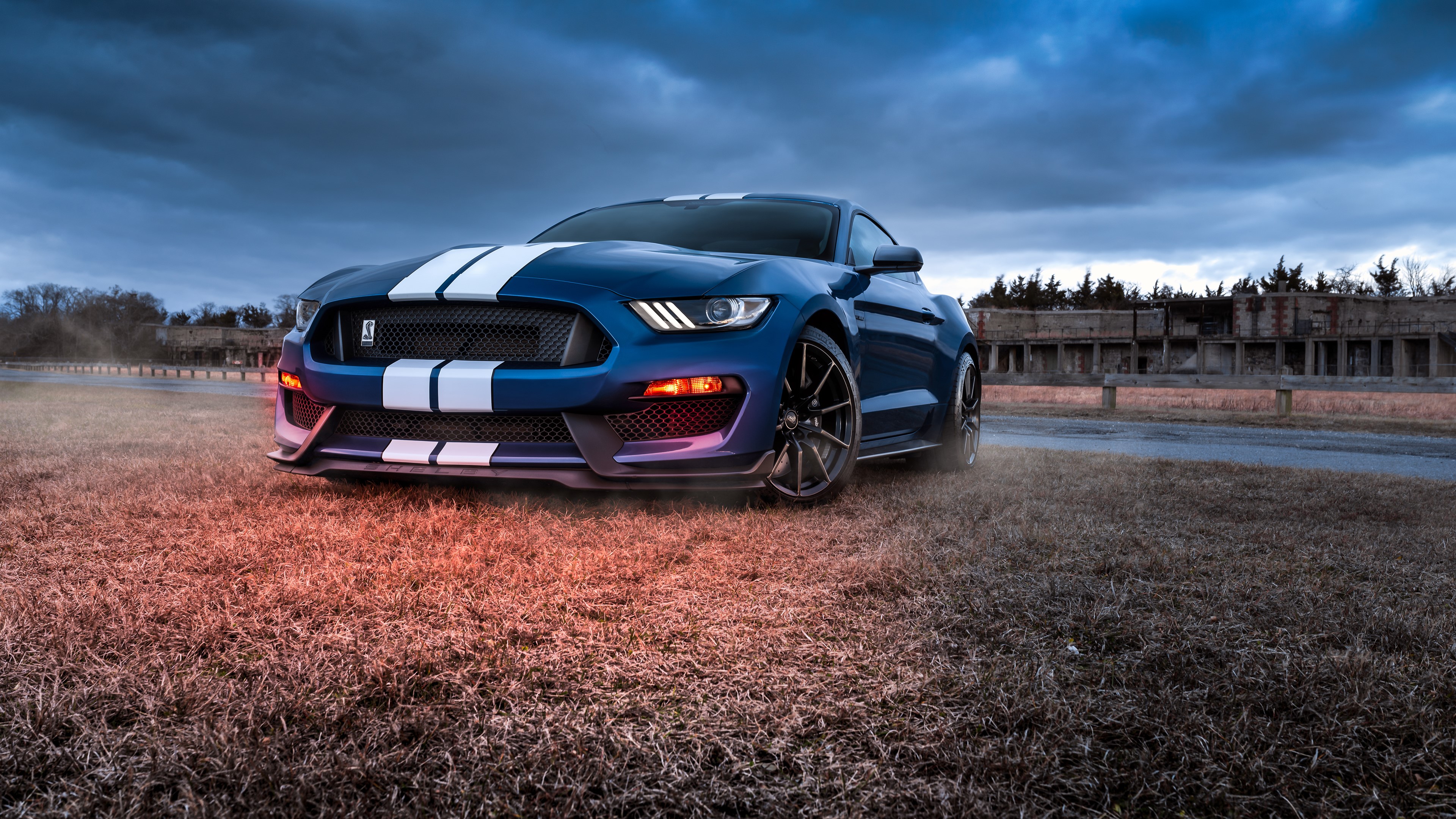 Blue Ford Mustang Shelby GT500 with White Stripes HD Wallpaper