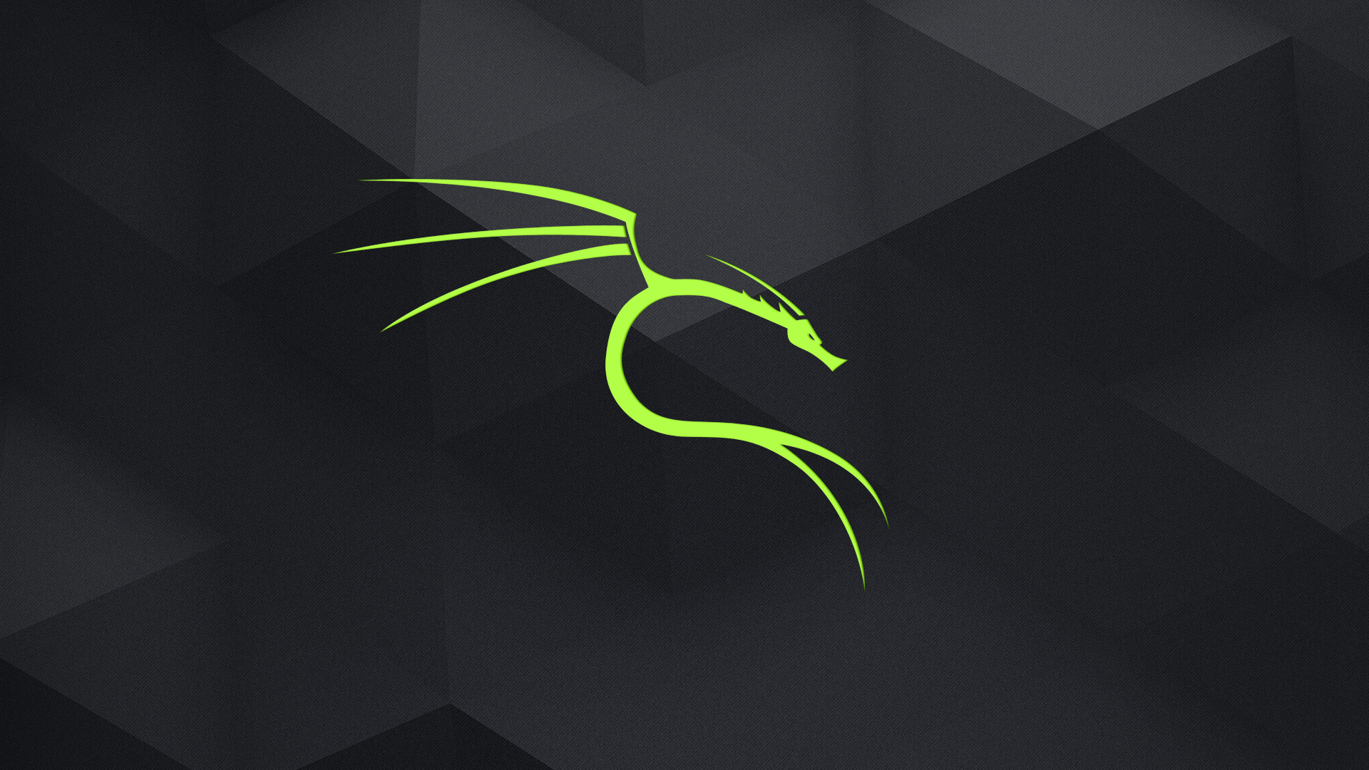 Kali Linux dragon logo on dark geometric background HD Wallpaper