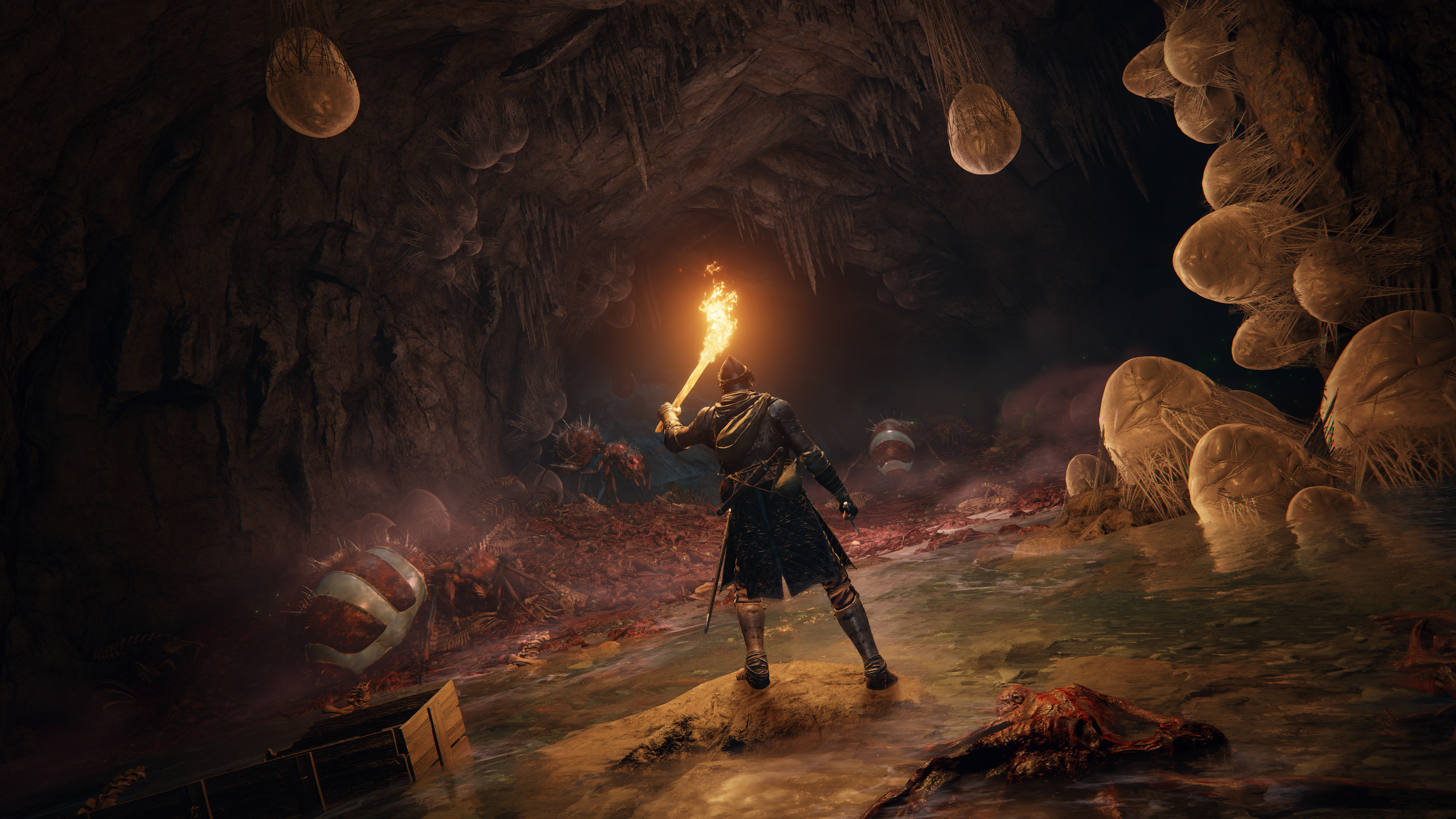 Elden Ring 4K Cave Exploration with Torch HD Wallpaper